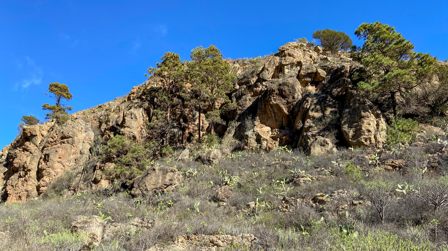 Barranco Tamadaya mit Kletterfelsen