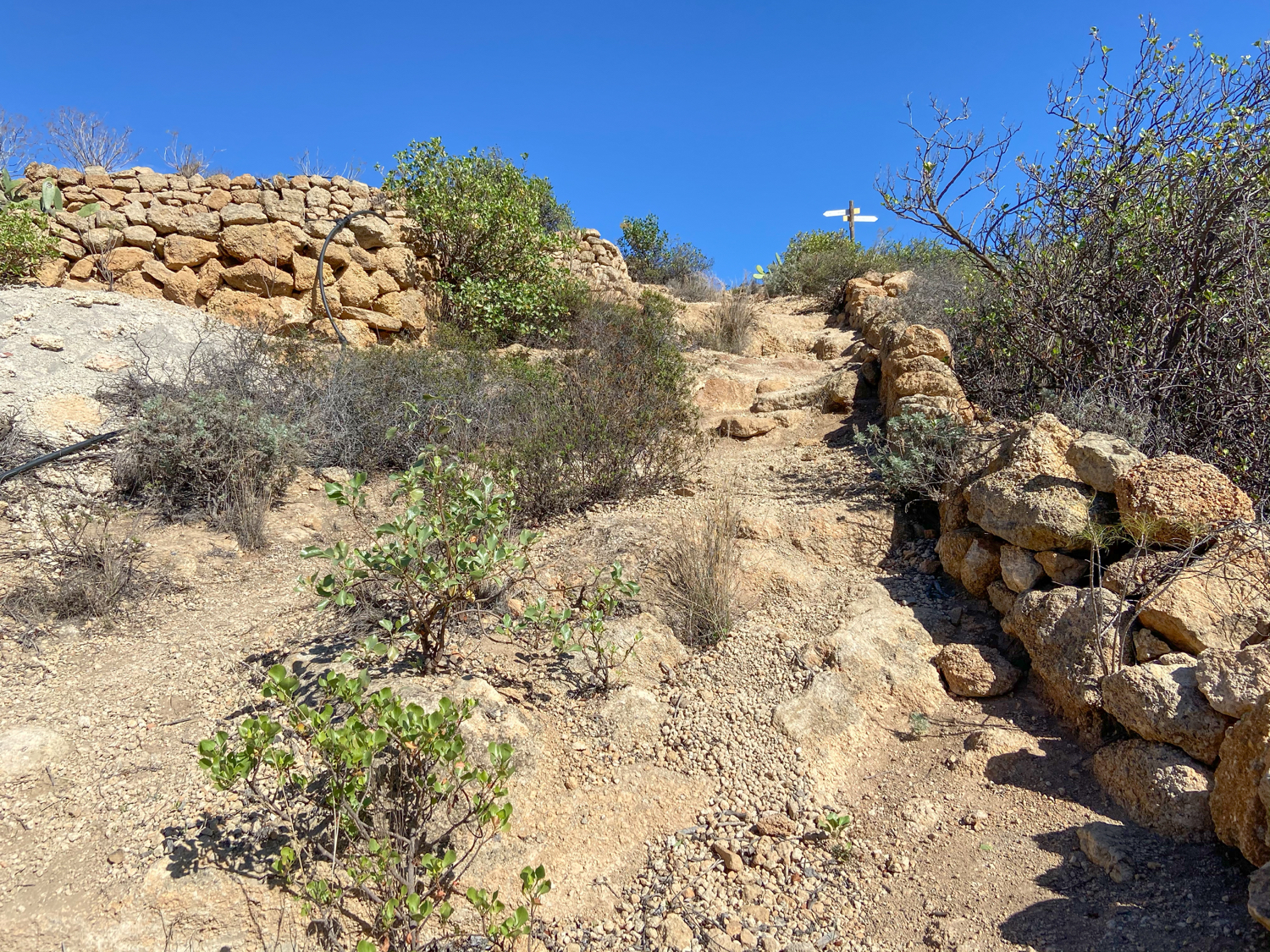 kurz vor dem Grat - Ausstieg aus dem Barranco Tamadaya
