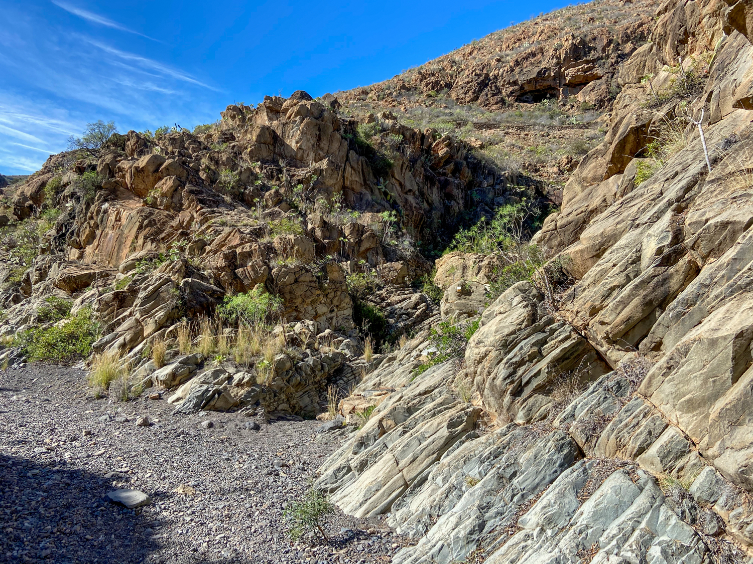 Barrancogrund Tamayada