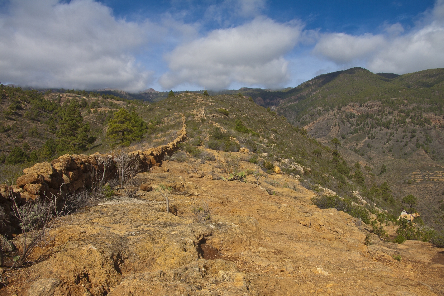 Grat über dem Barranco Tamadaya