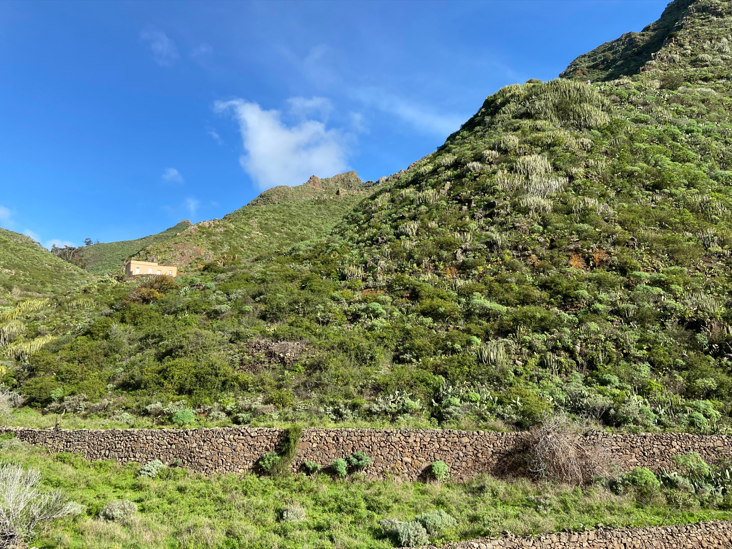 Mauern, terrassierte Felder und einsame Gehöfte im Valle Seco