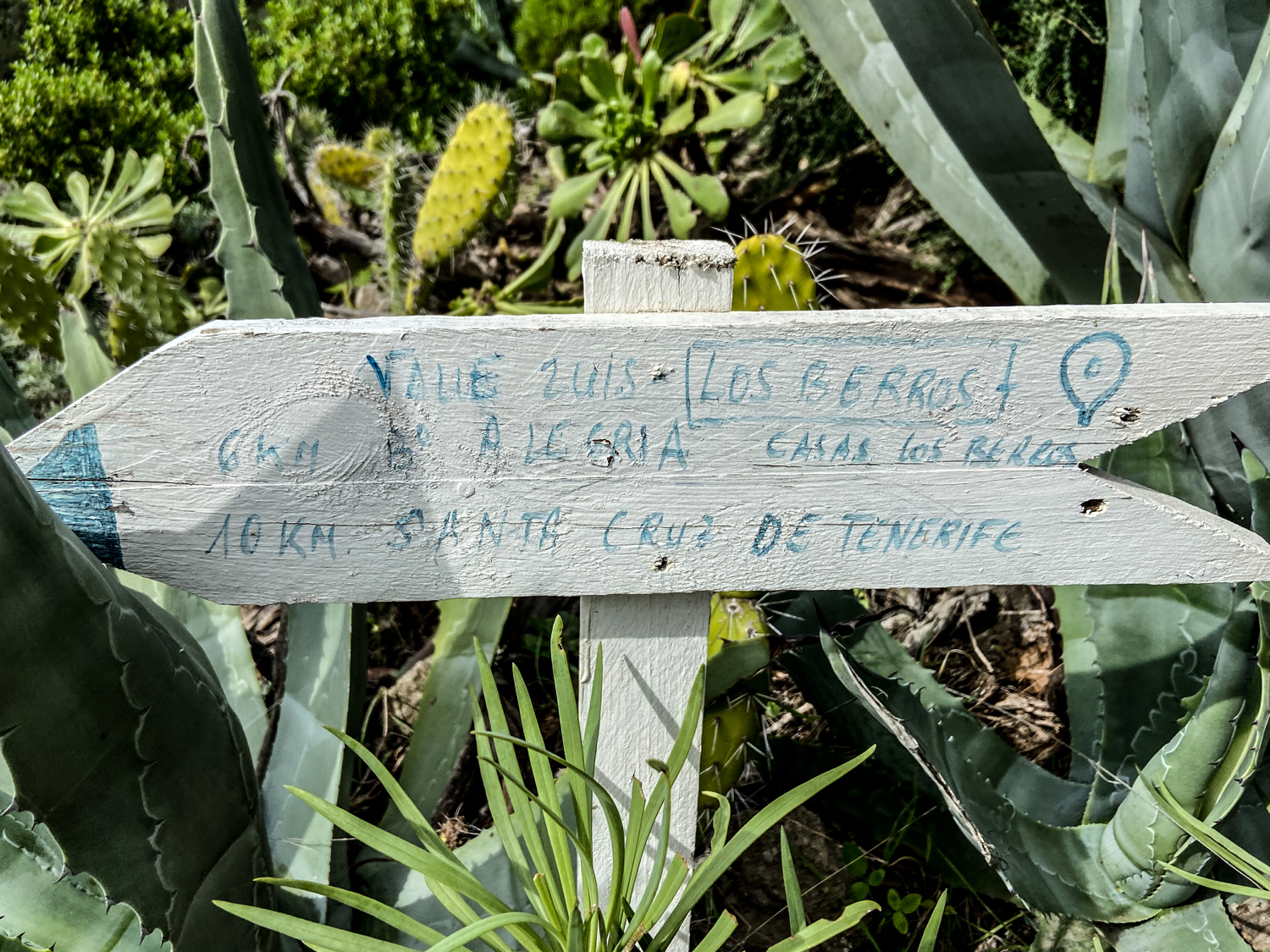 Wanderbezeichnung bei Los Berros