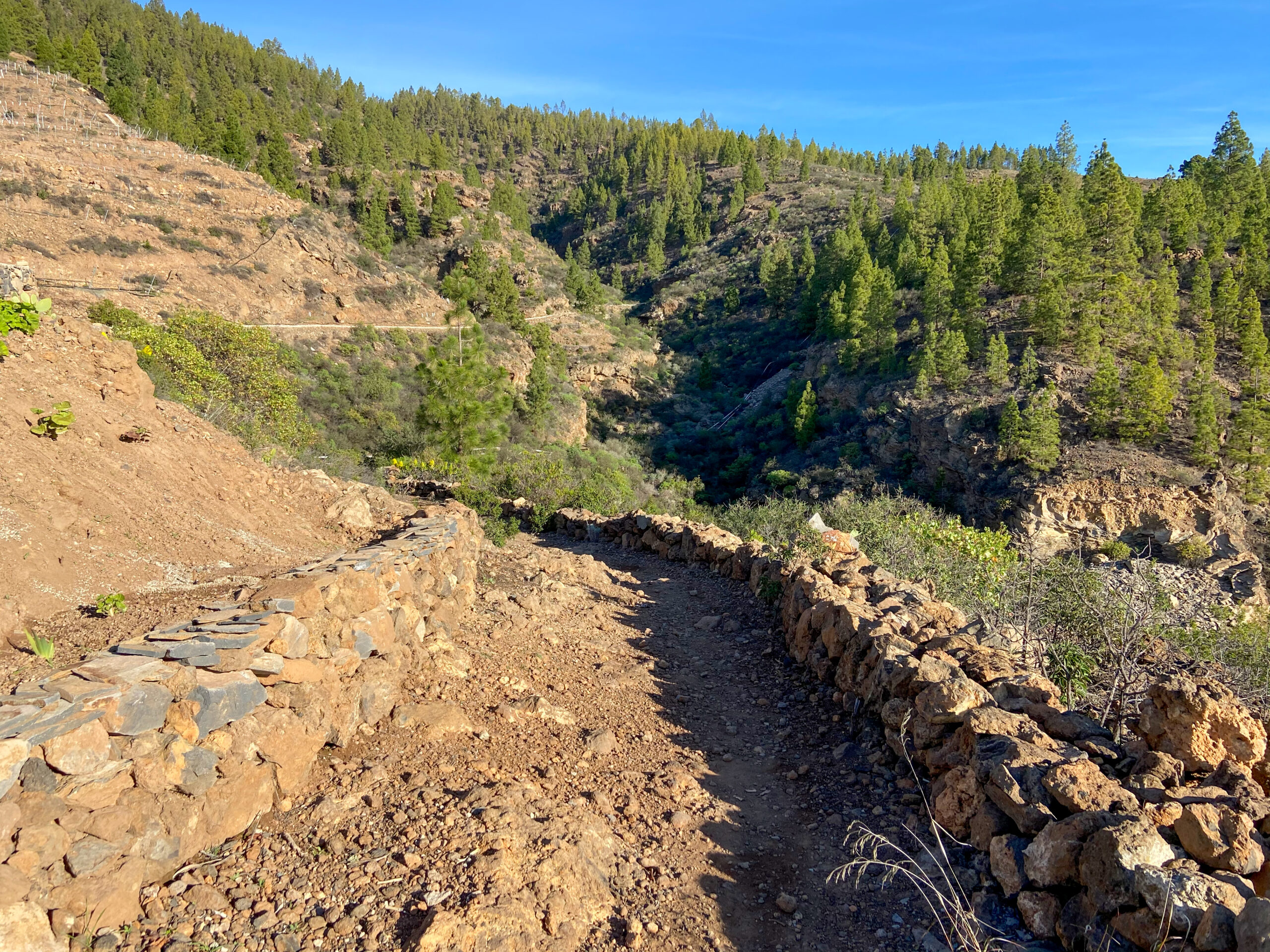 Wanderweg von El Pinar Richtung Madre del Agua