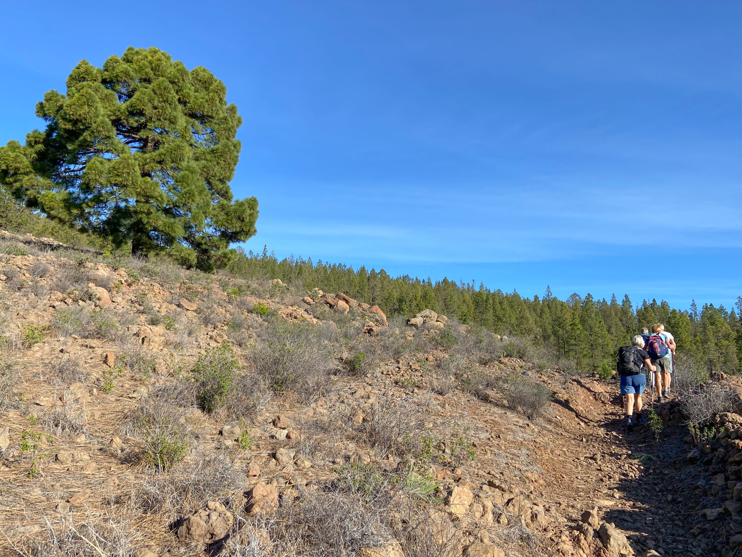 Wandergruppe auf dem Weg zur Madre del Agua
