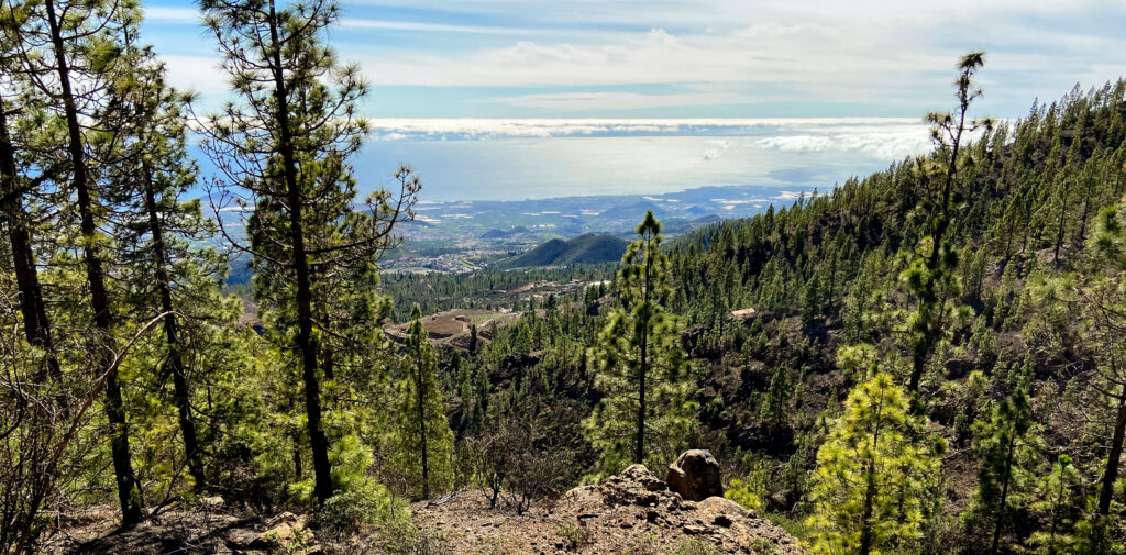 Vista de El Pinar, la costa este de Tenerife y el Océano Atlántico