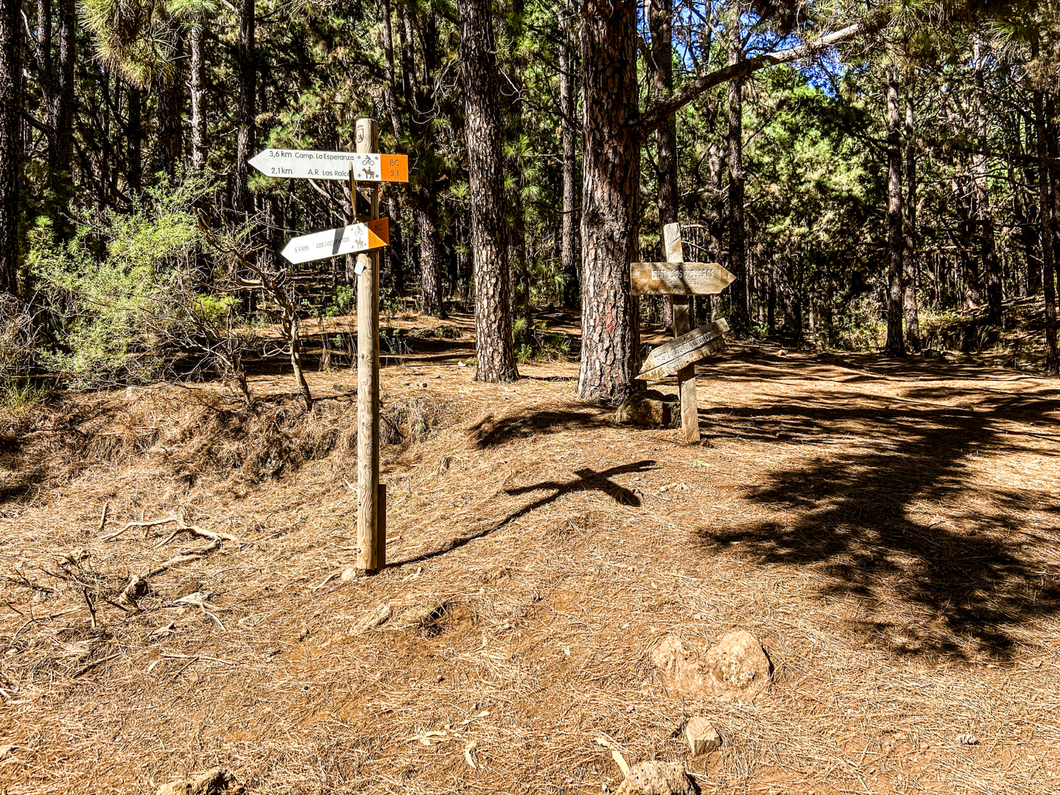 vielfältige Wandermöglichkeiten im Esperanza Wald