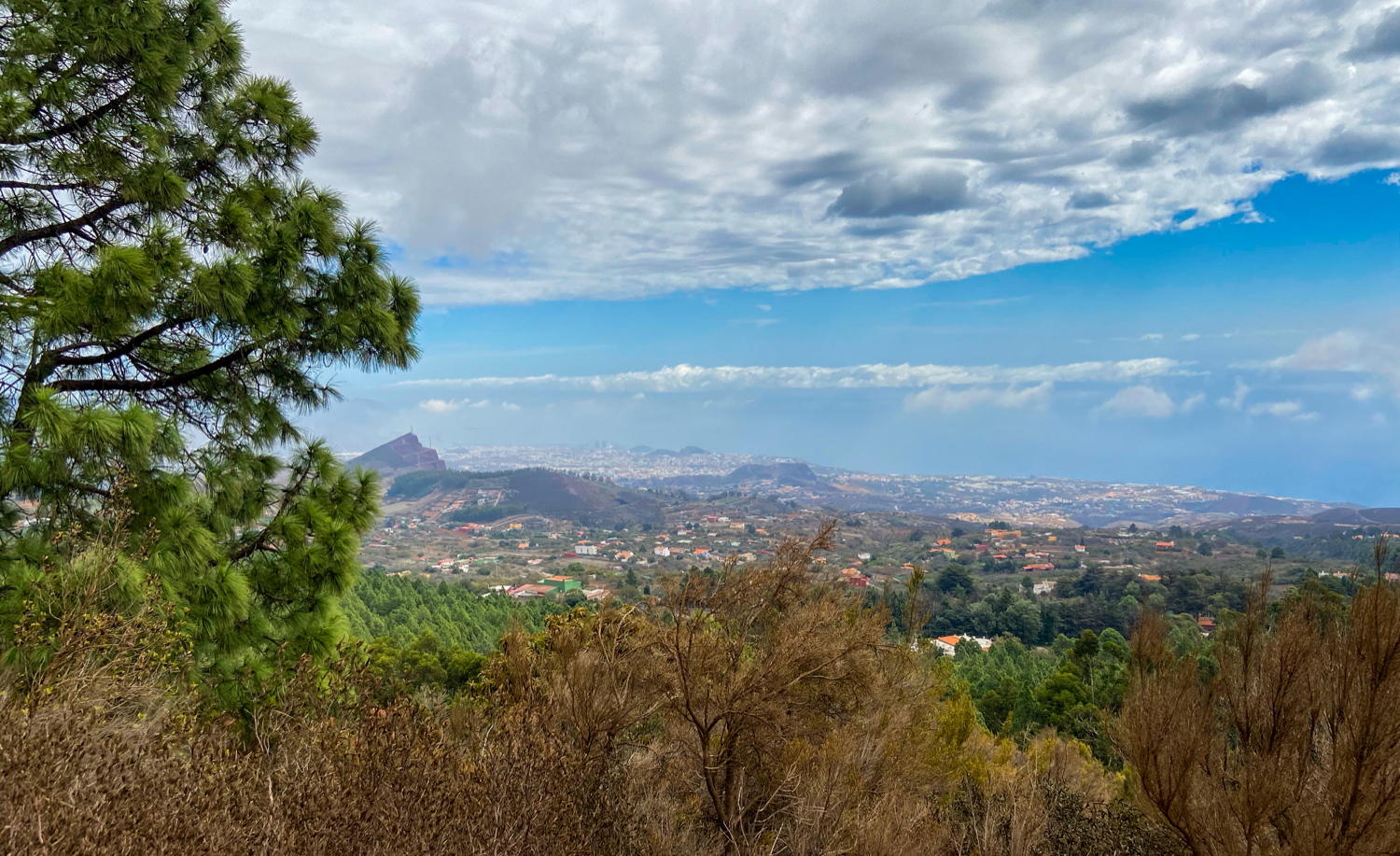 Blick aus dem Esperanza Wald auf den Nordosten von Teneriffa