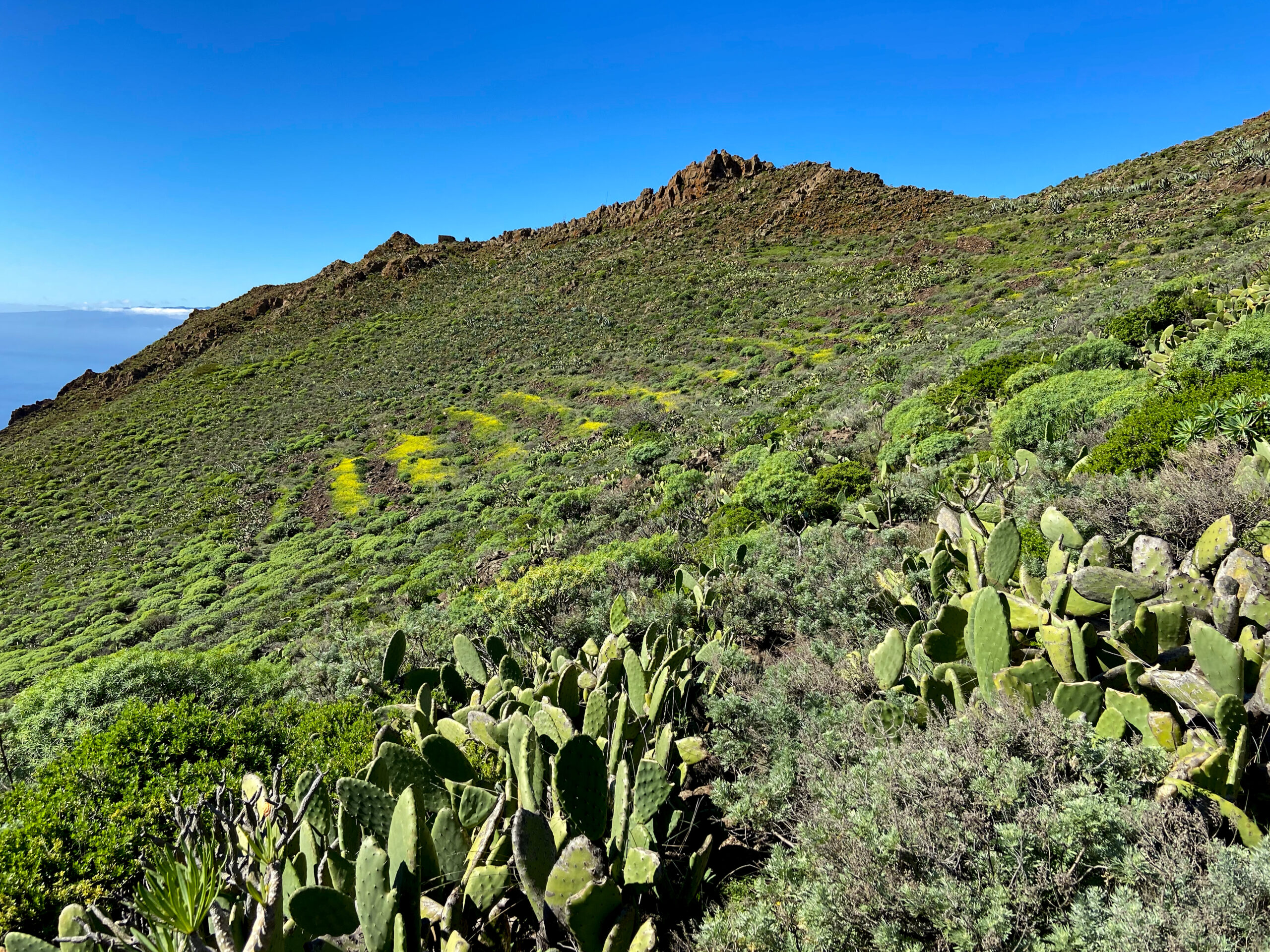 Wander weg durch Büsche hoch zum Grat am Baracán