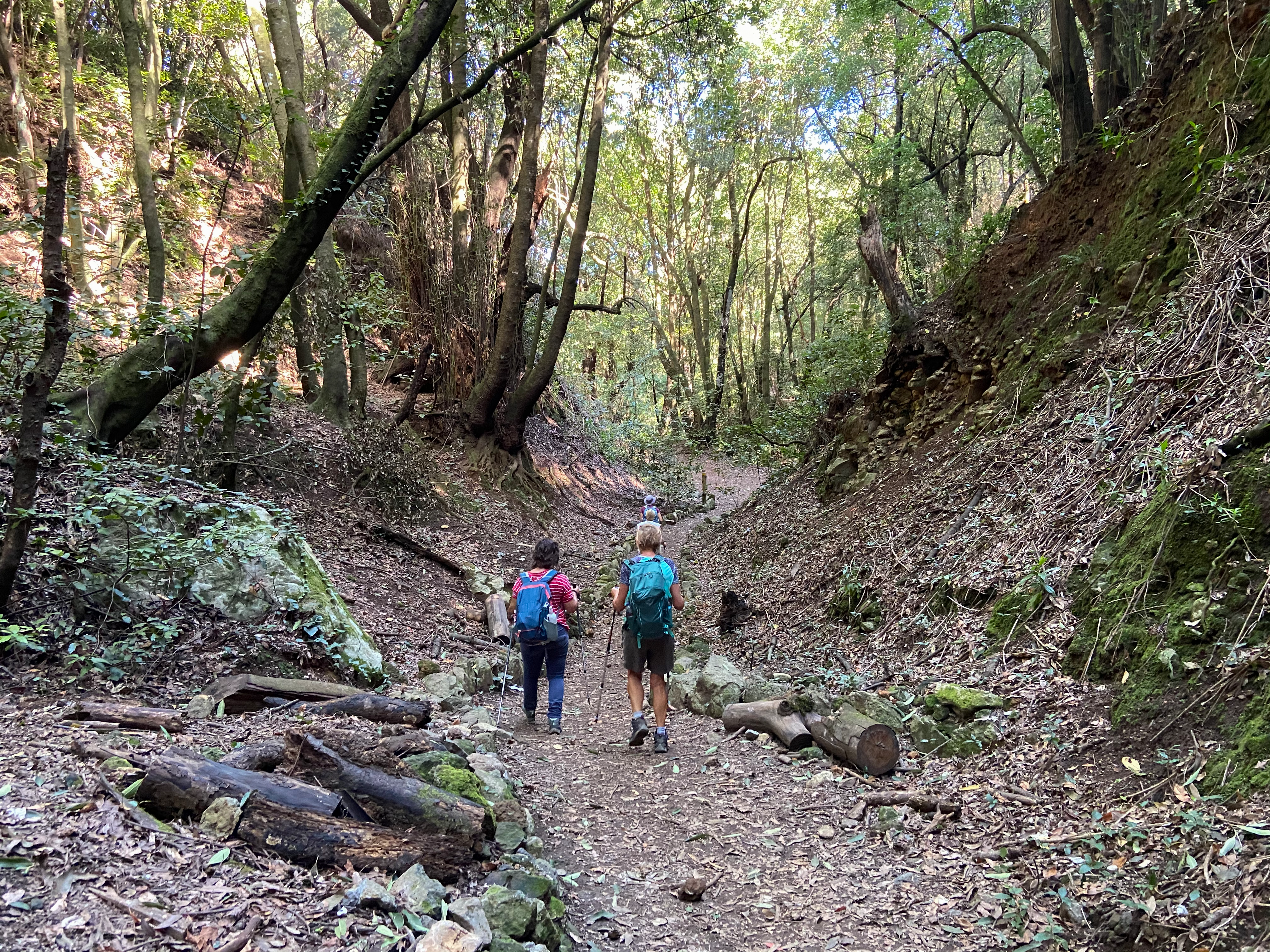 Wanderinnen im Esperanza Wald