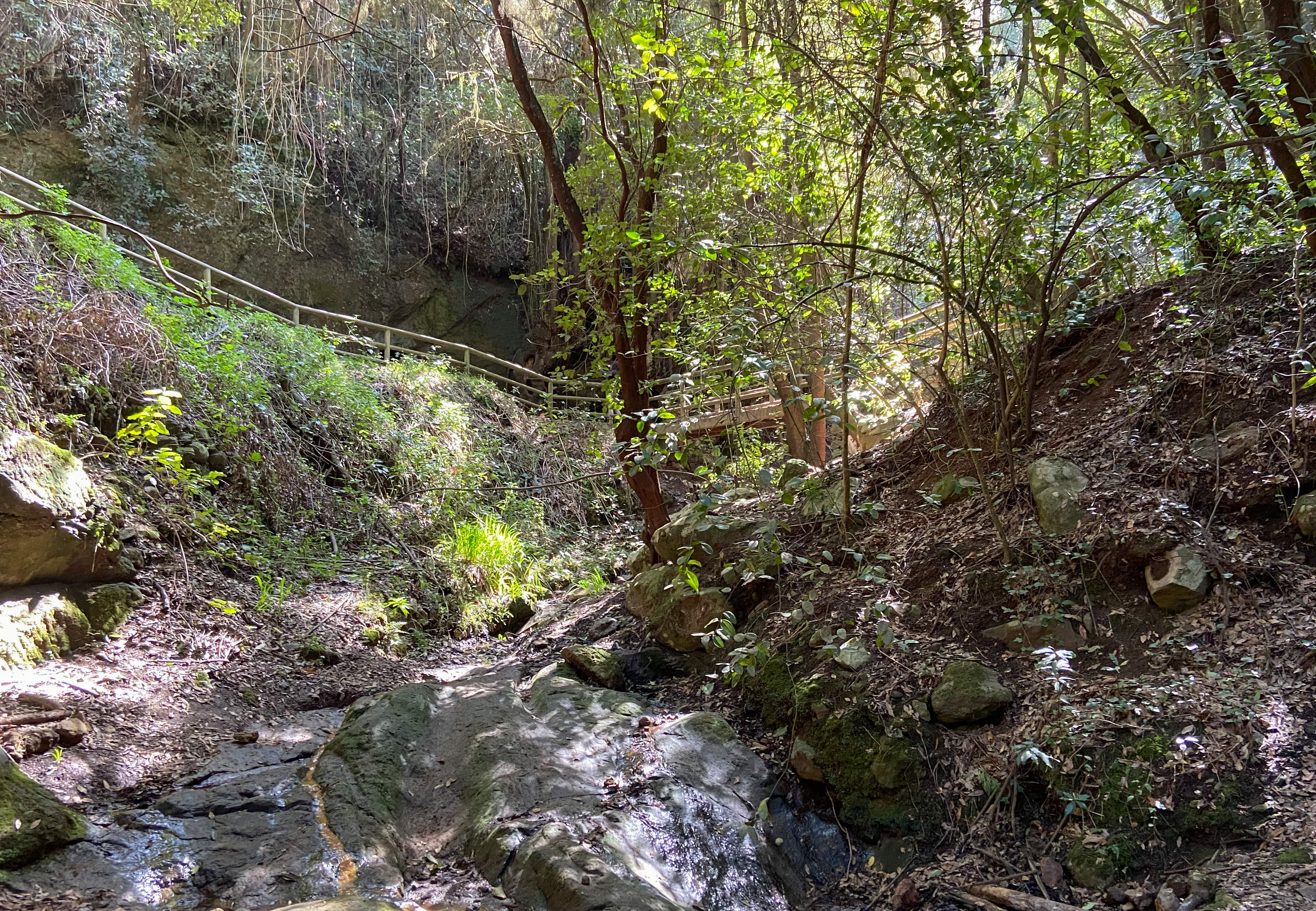 nneu angelegter Wanderweg mit Holzgelände und Brücke