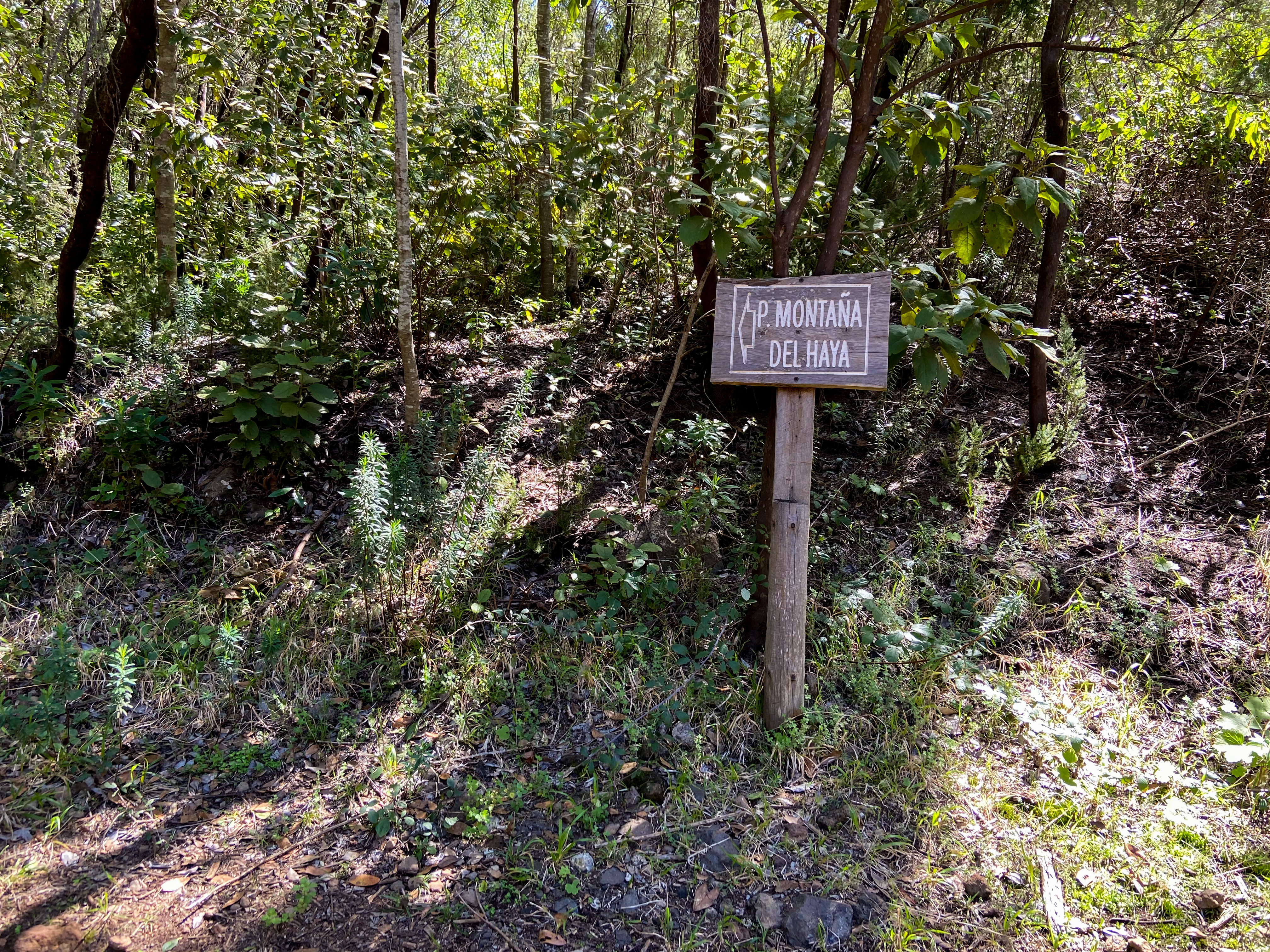 Wanderbezeichnung im Esperanza Wald