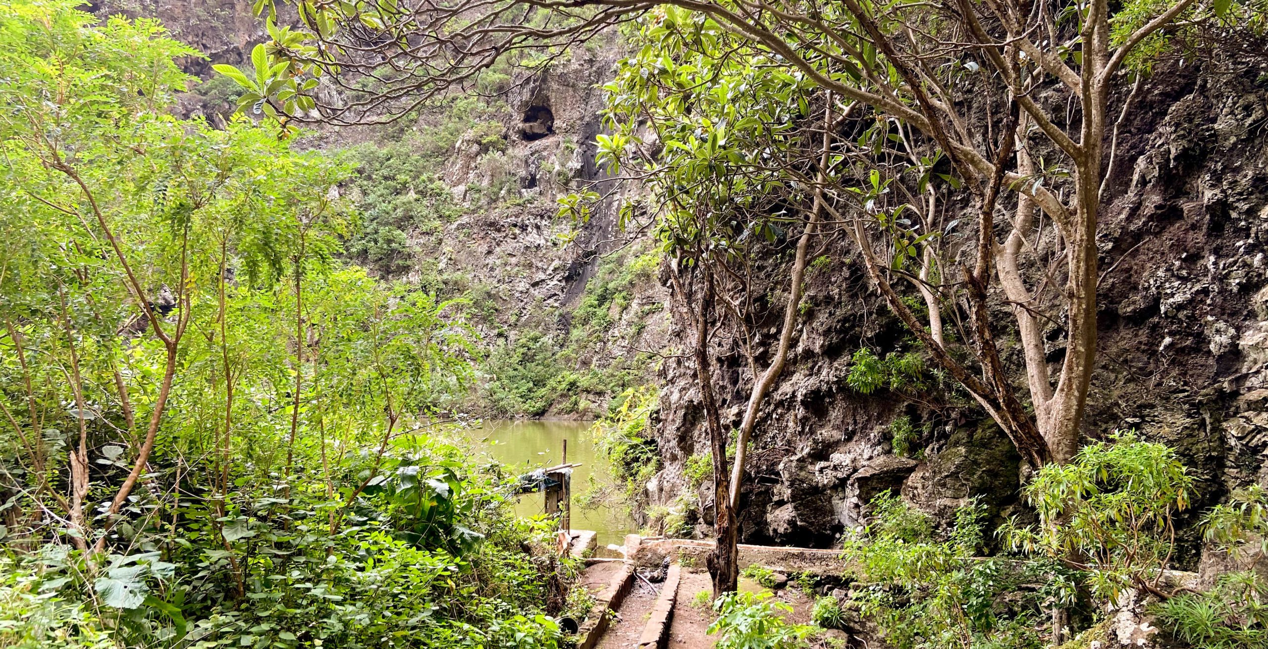 Ententeich im Barranco de los Cochinos