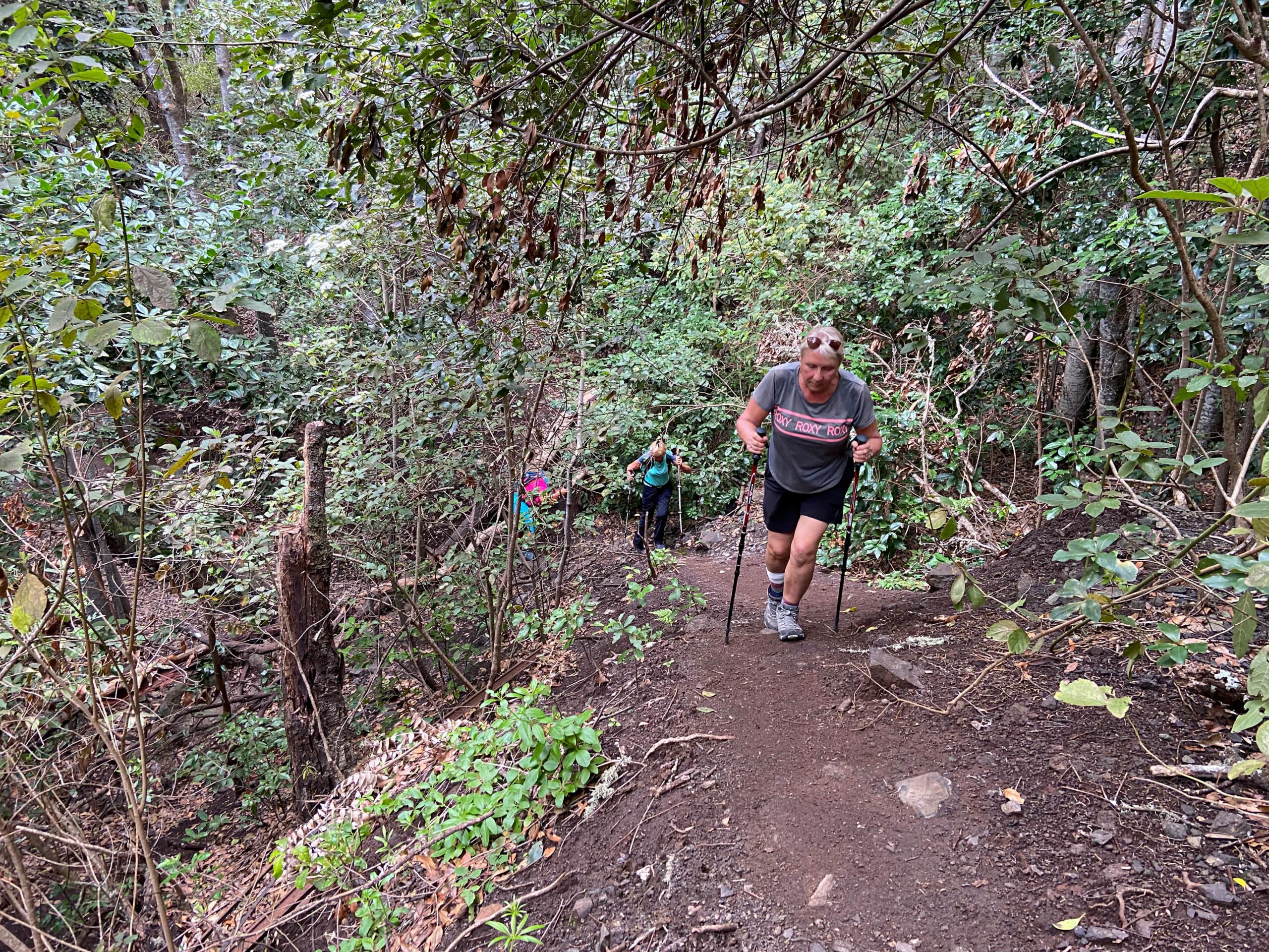 Wandern auf steilen Pfaden bergauf