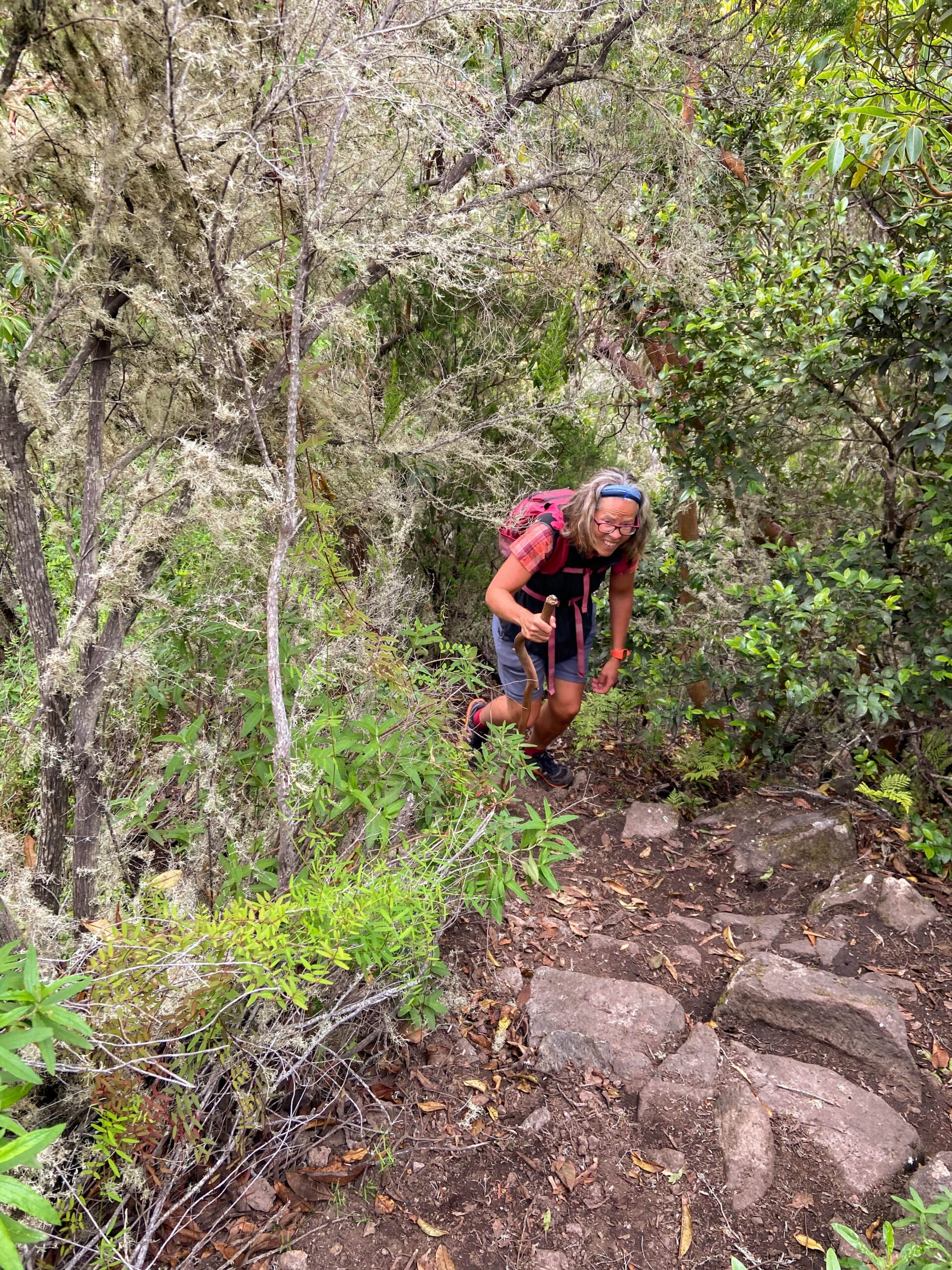 wandern auf schmalen Pfaden bergauf