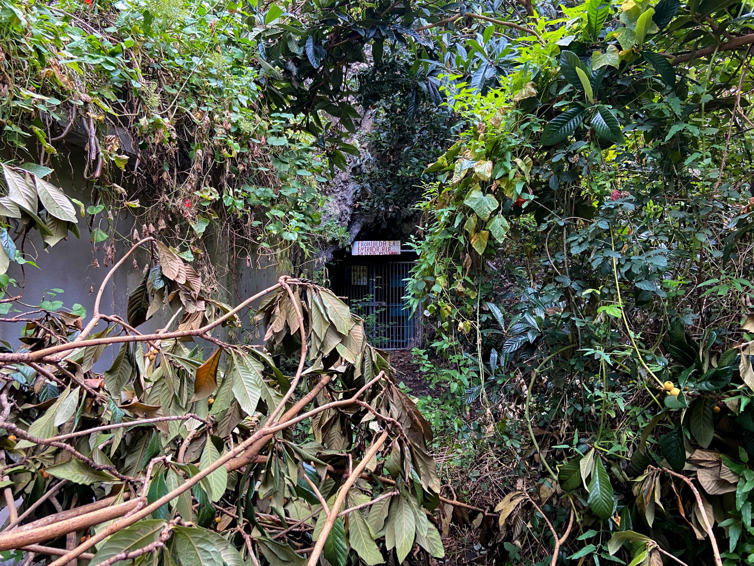abgeschlossene Galería im Barranco de los Cochinos