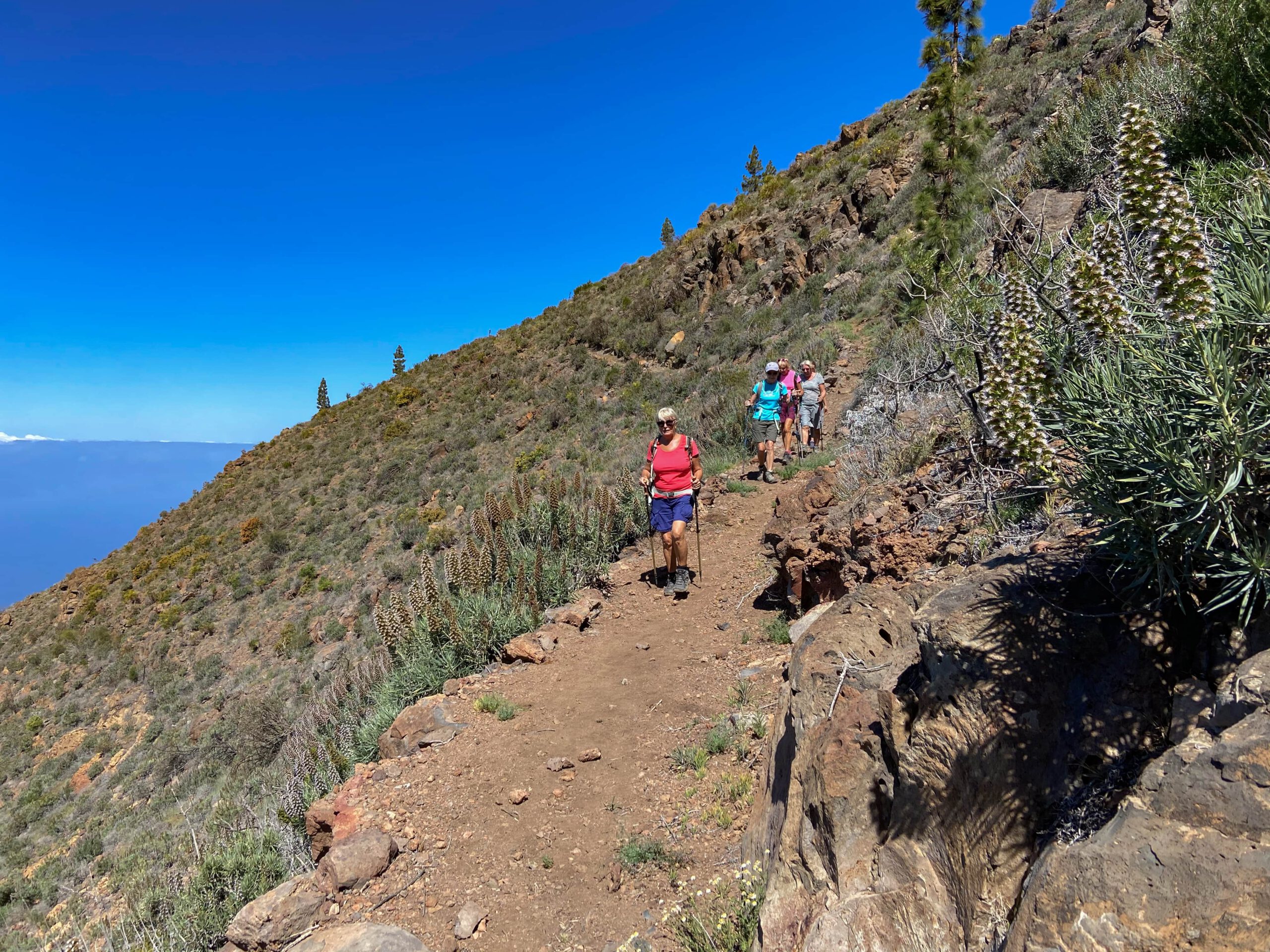 Wanderweg hinüber zum Barranco de Tagara