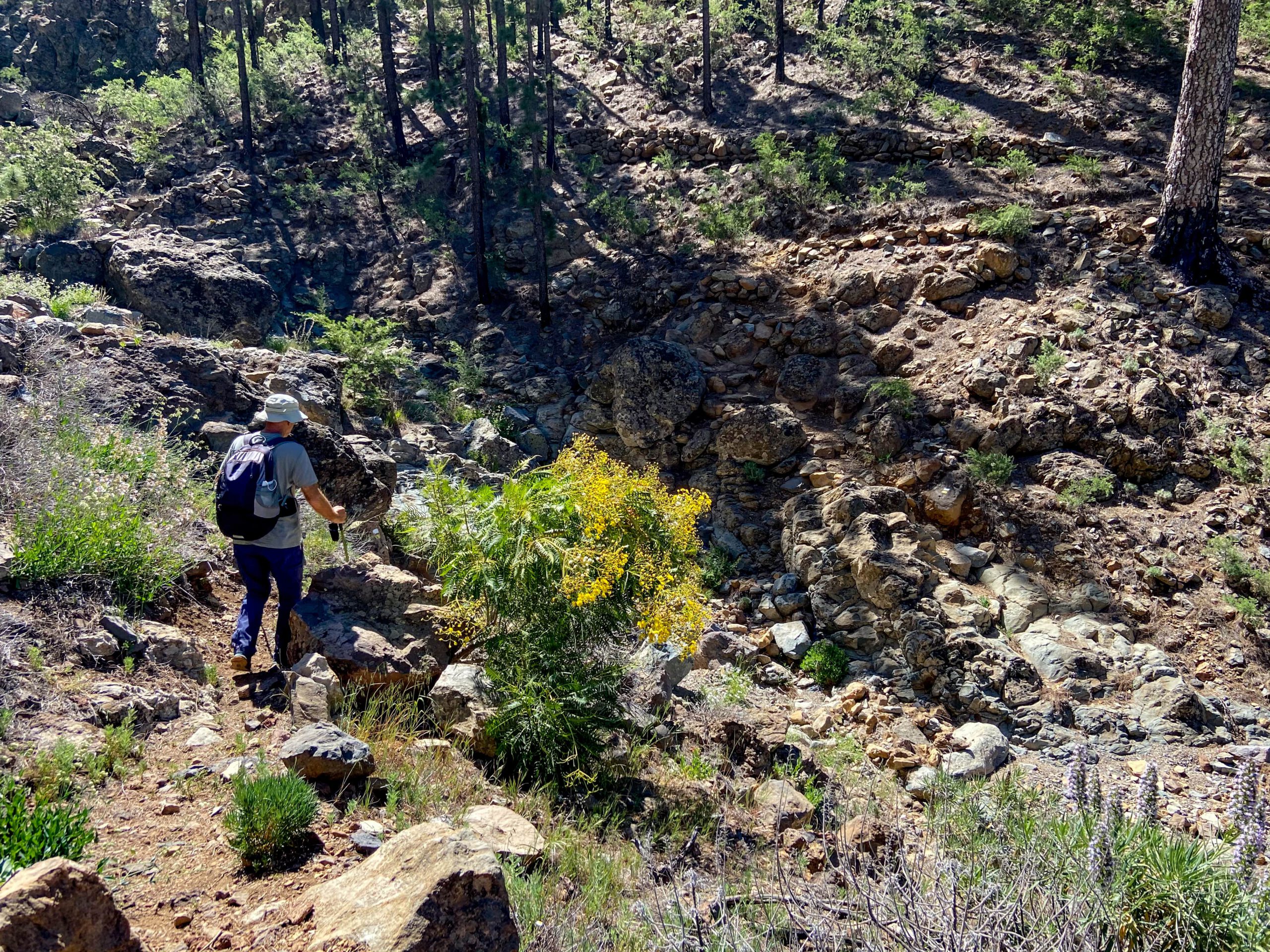 Barranco Tagara