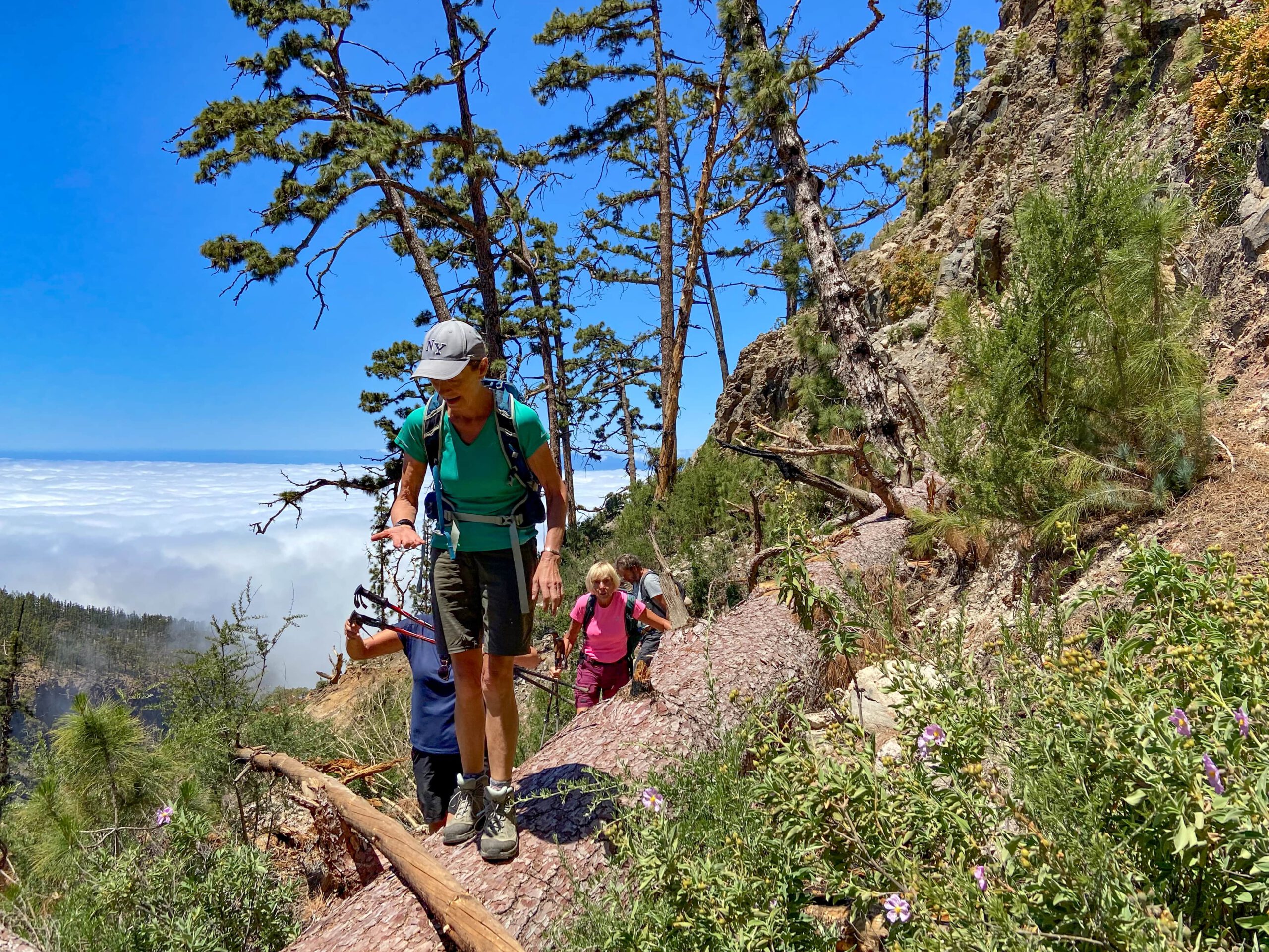 wandern über den Wolken und über Baumstämme