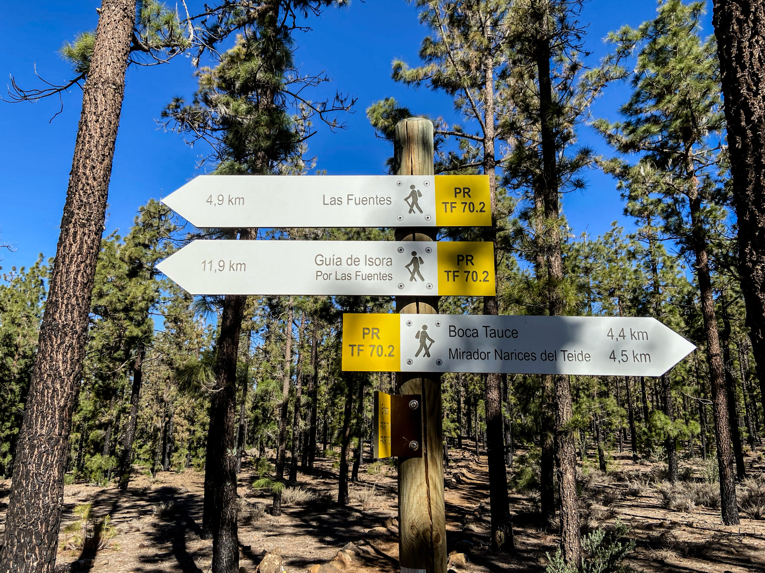 Wanderbeschilderung im Kiefernwald Richtung Las Fuentes