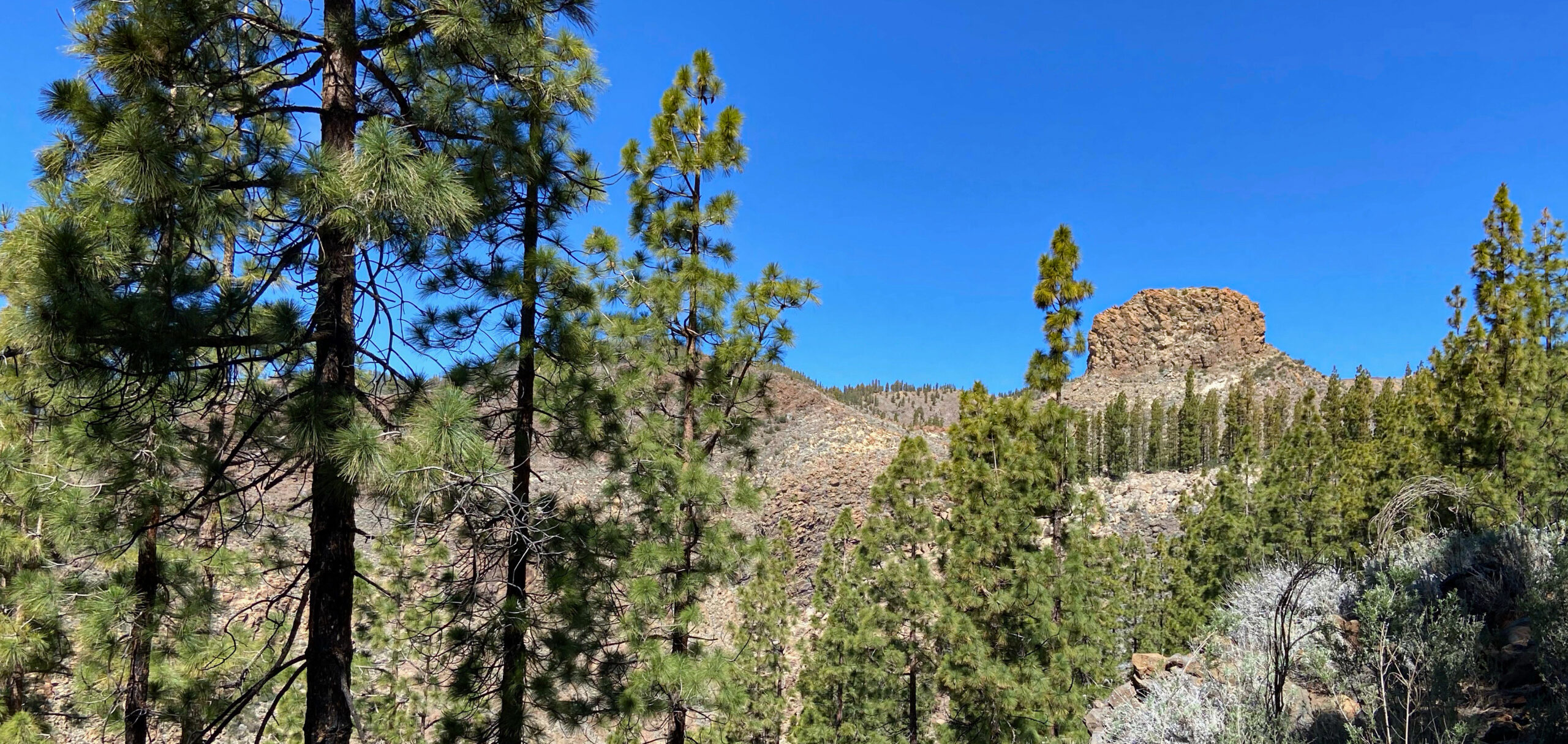 Die Felsen El Sombrerito, Roque Ucasme und Roque Ucanca weisen die grobe Richtung bergauf Richtung Boca Tauce