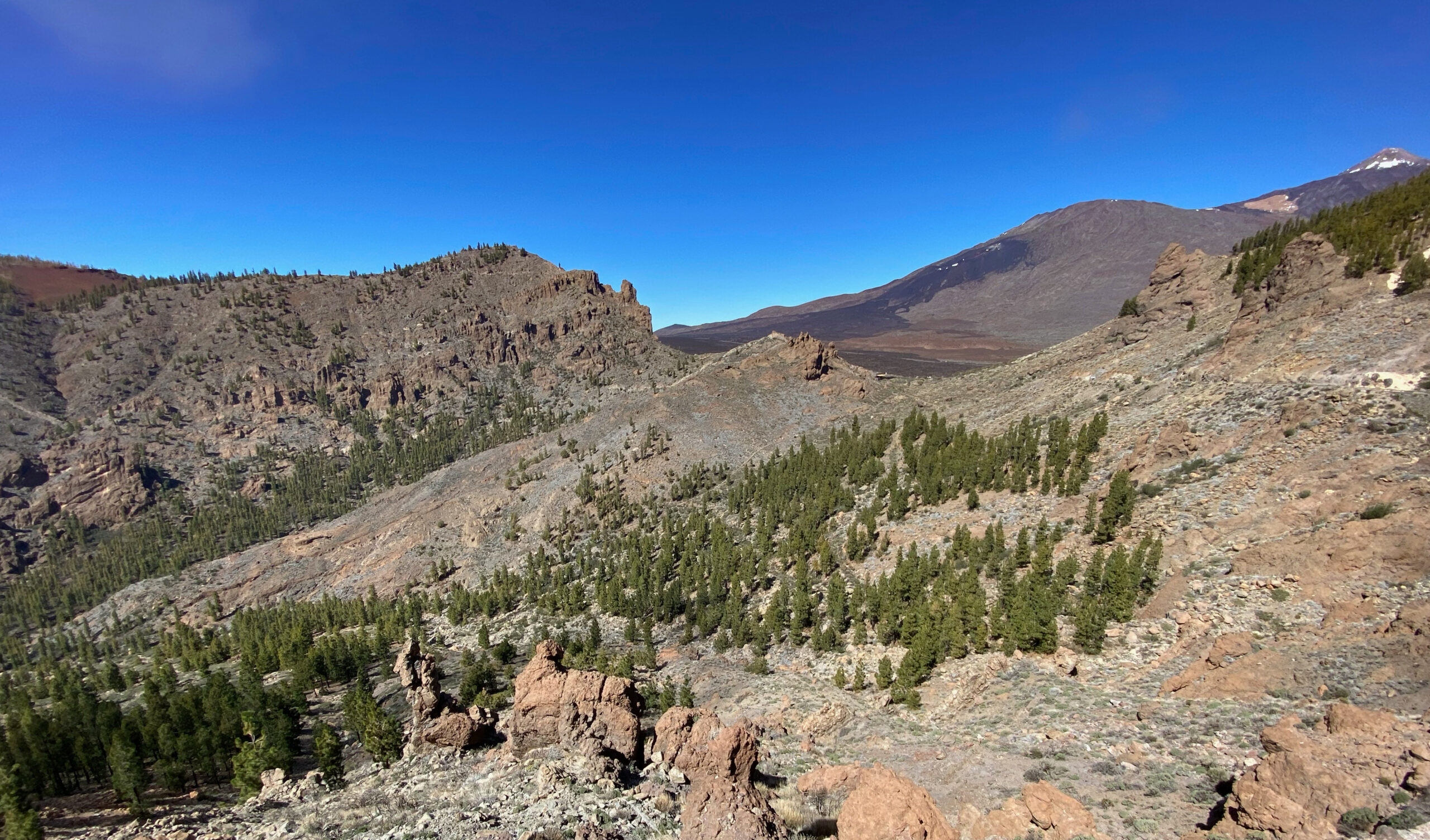 Blick Richtung Cañadas und Teide