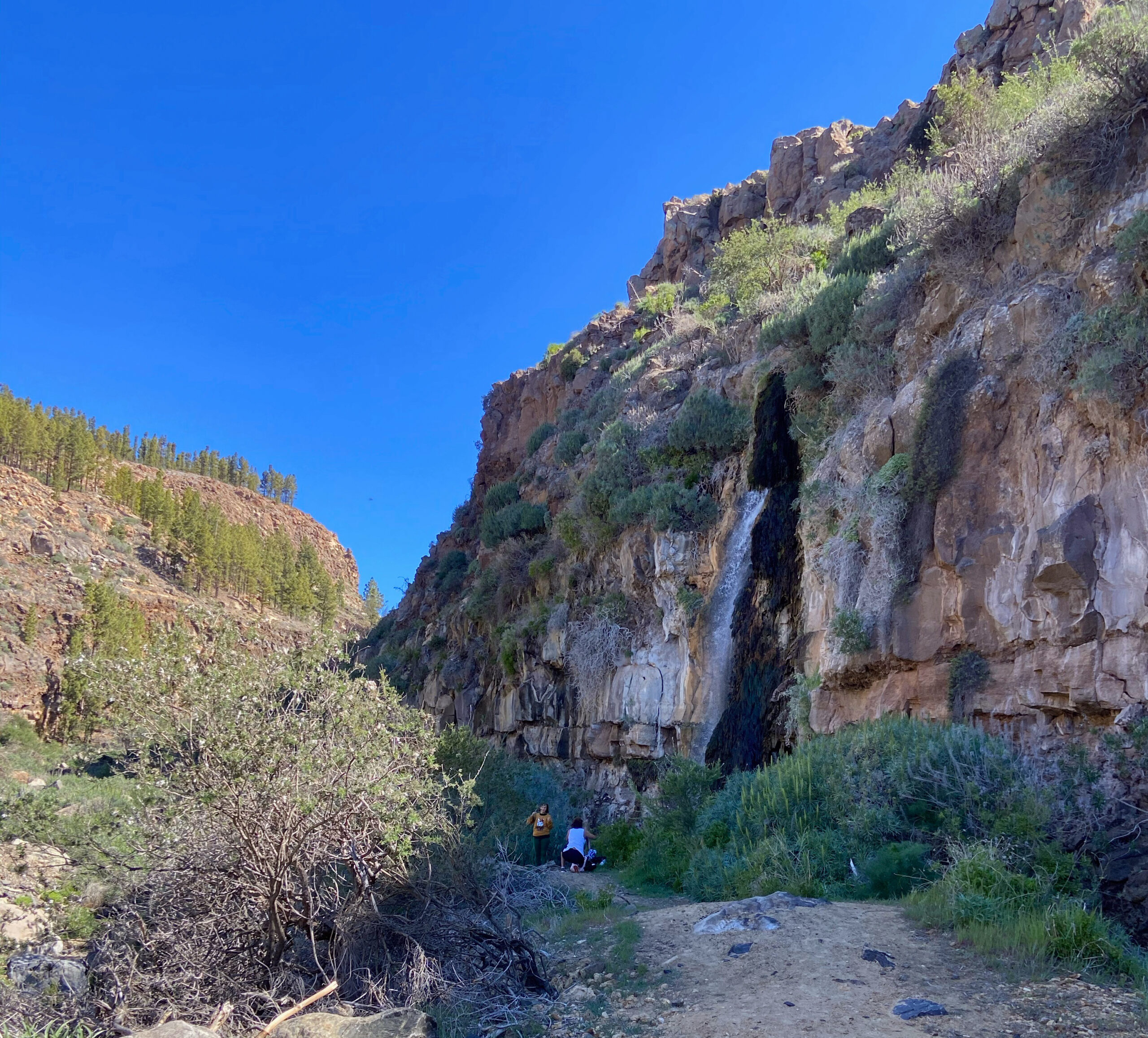 Boca Tauce - Teide Nationalpark - Tenerife | SiebenInseln