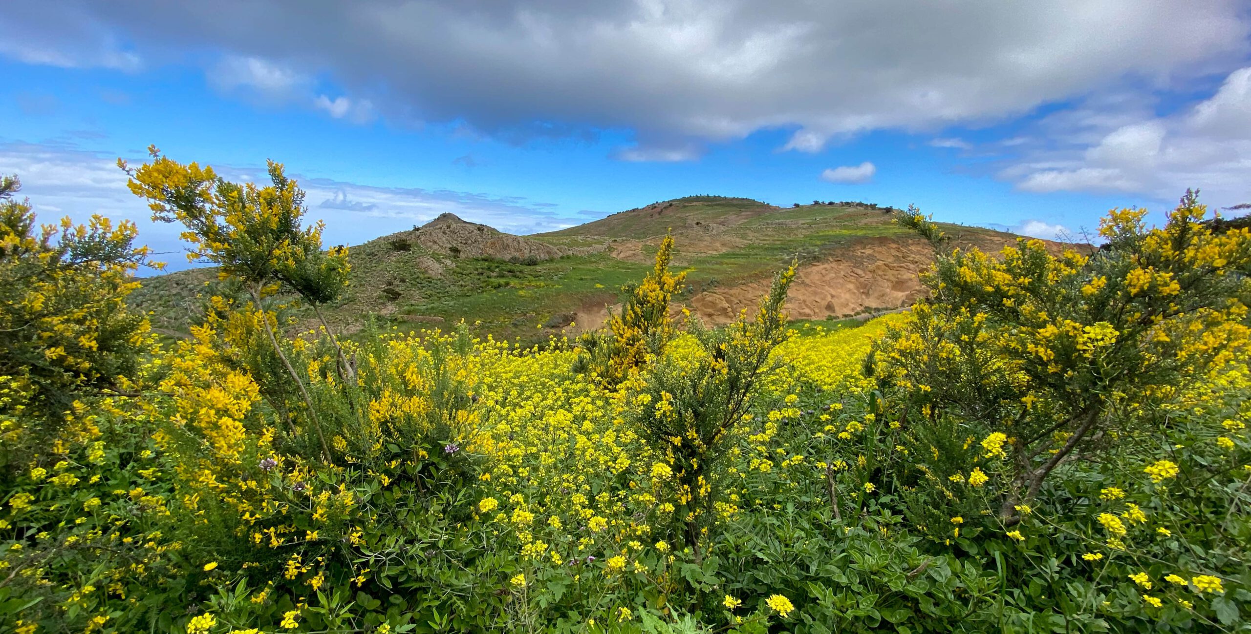 Wandern im Frühjahr - umgeben von viel Grün und herrlichen Blüten