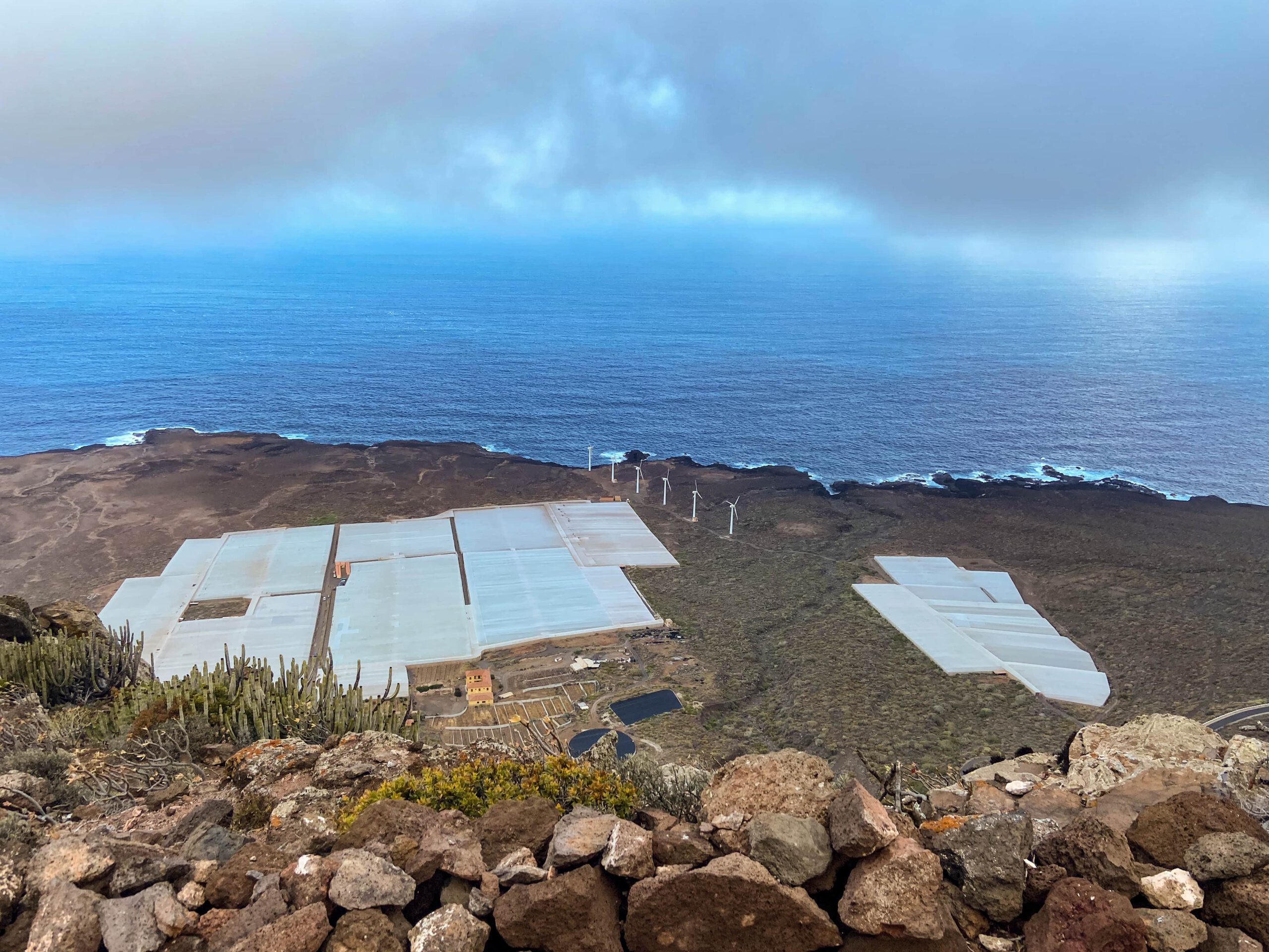 Blick auf die Bananenplantagen an der Nordküste bei Punta Teno