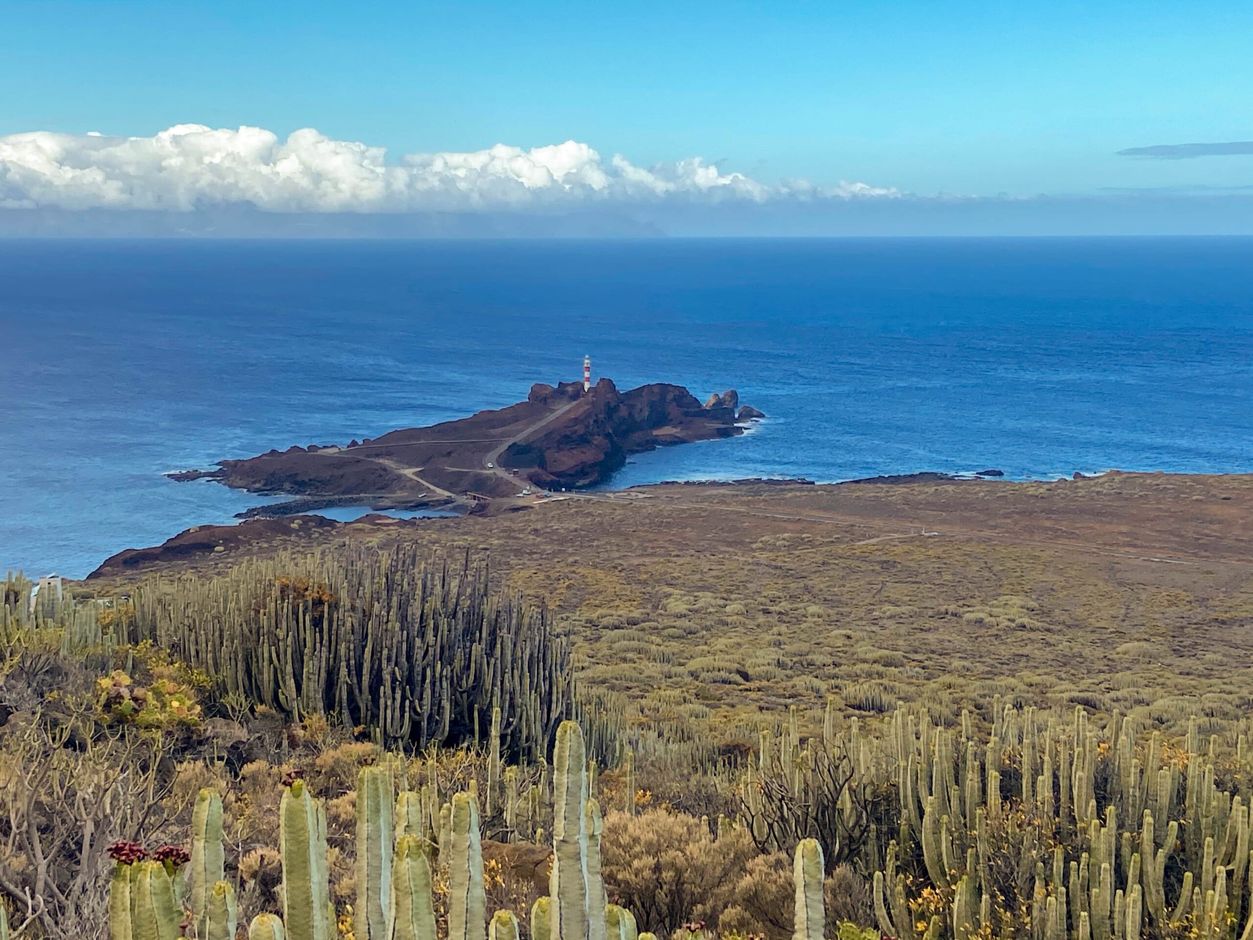 Blick auf die Punta Teno vom Wanderweg