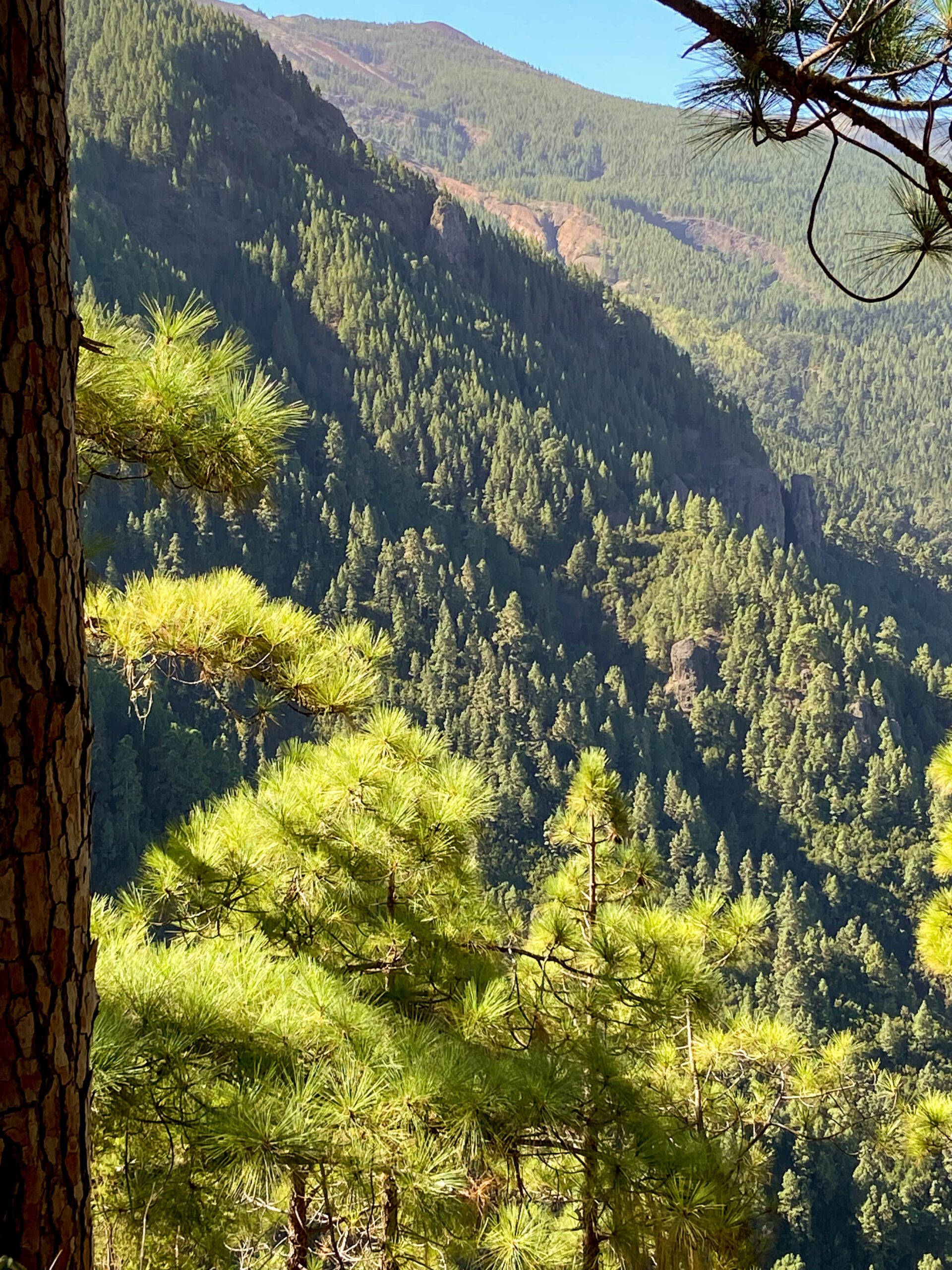Blick vom Organos Höhenweg - im Hintergrund der Barranco de los Arcos
