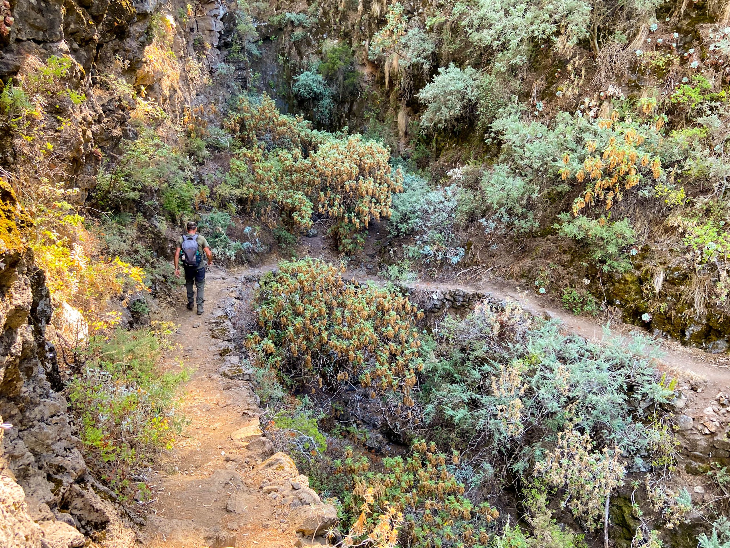 Wanderer auf dem Orotava Höhenweg