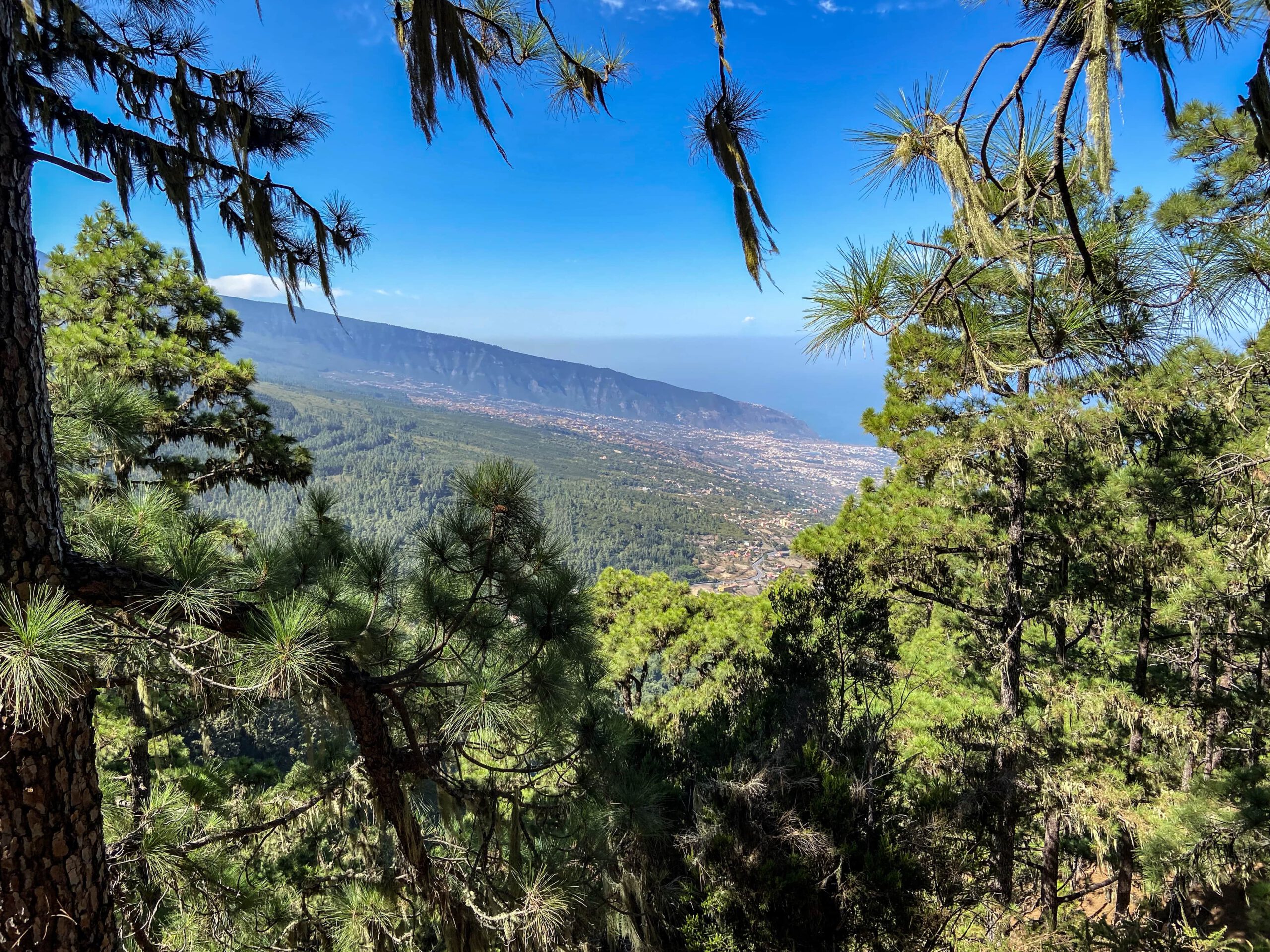 Blick vom Organos Höhenweg auf Aguamansa, Orotava und die Küste
