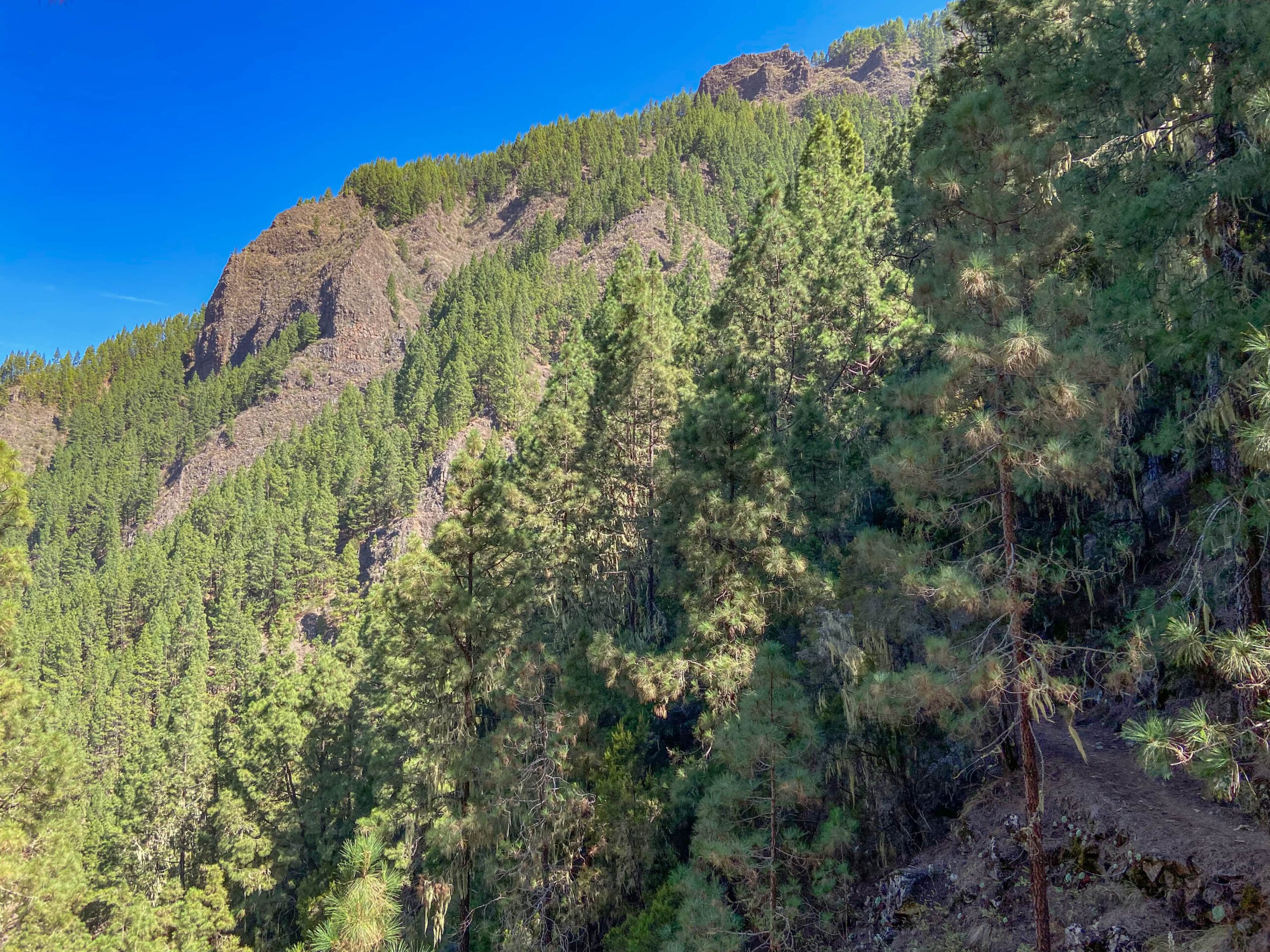 Wandern auf dem Organos Höhenweg