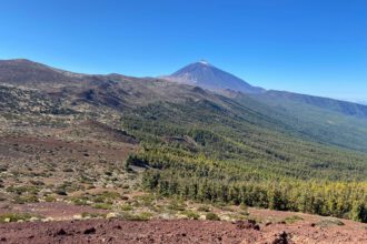 Blick auf den Teide und die Kiefernwälder des Orotava Tals von der Montaña Limón