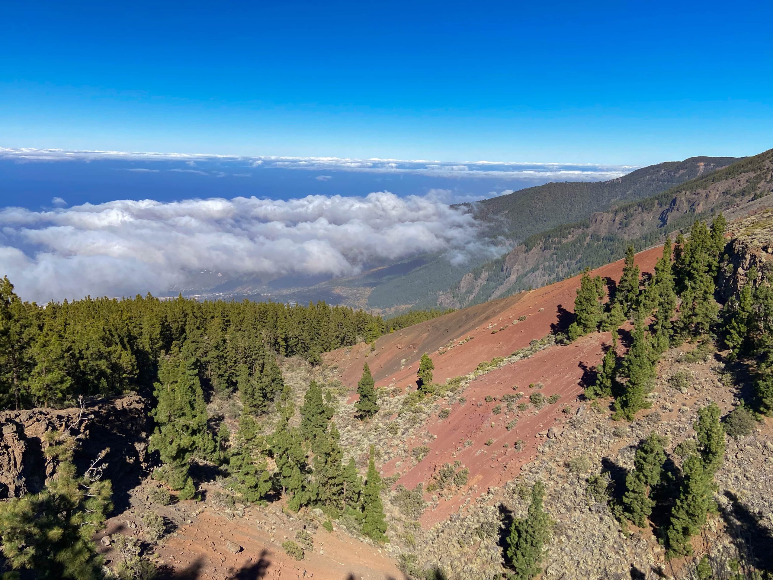Blick über den Barranco Pedro de Gil
