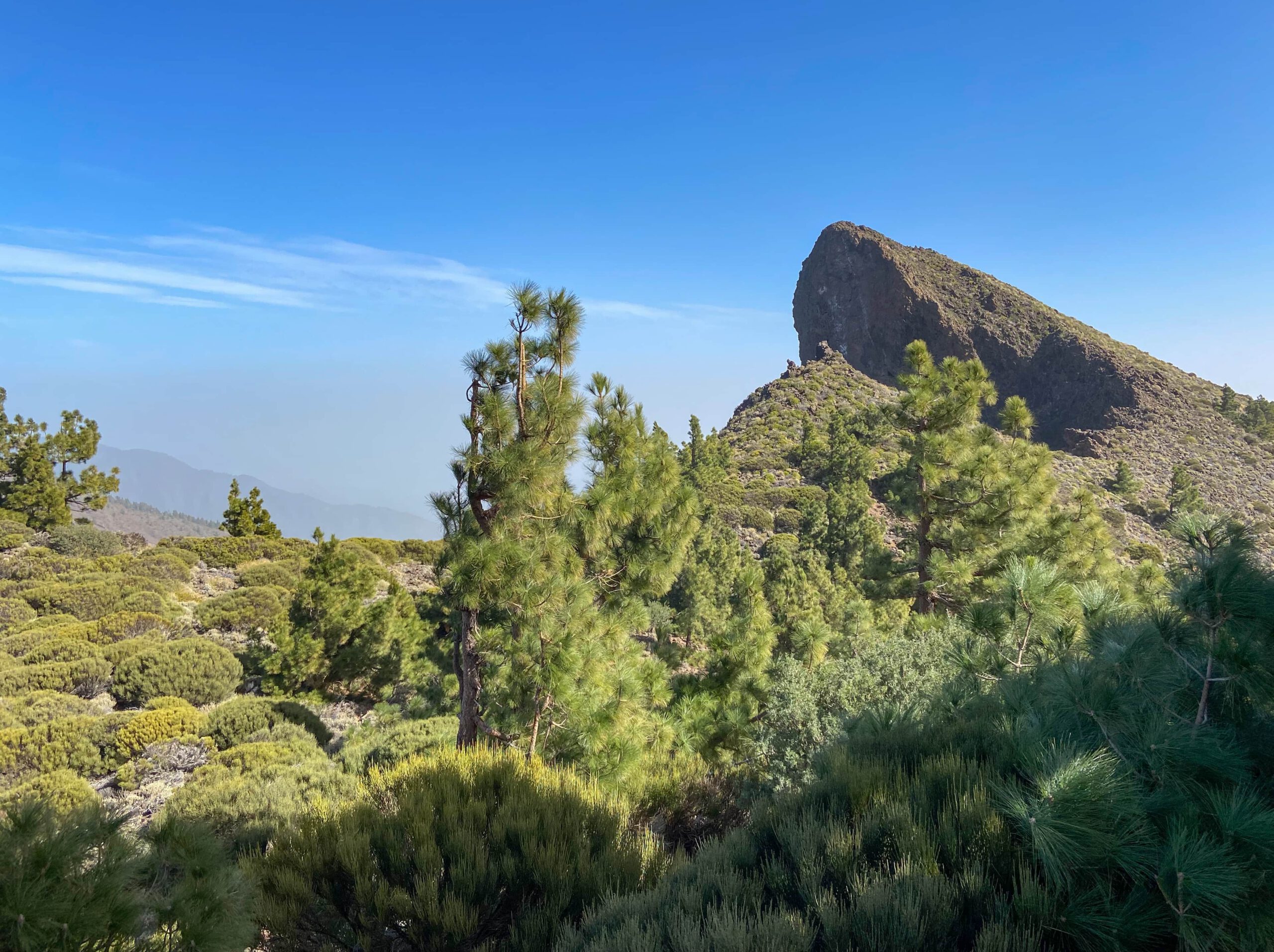 Pico Cho Marcial aus der Sicht vom Kiefernwald auf der Weiterwanderung über den Grat