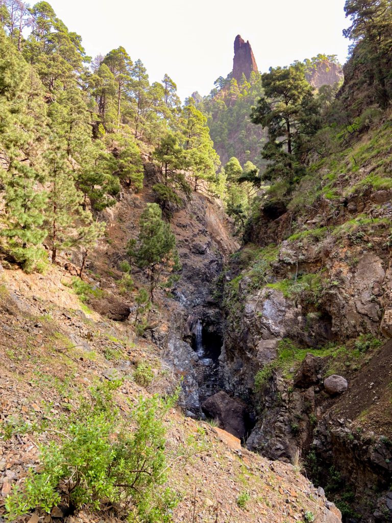 View from the ascent path Caldera de Taburiente into the Barranco Río Almendra Amargo