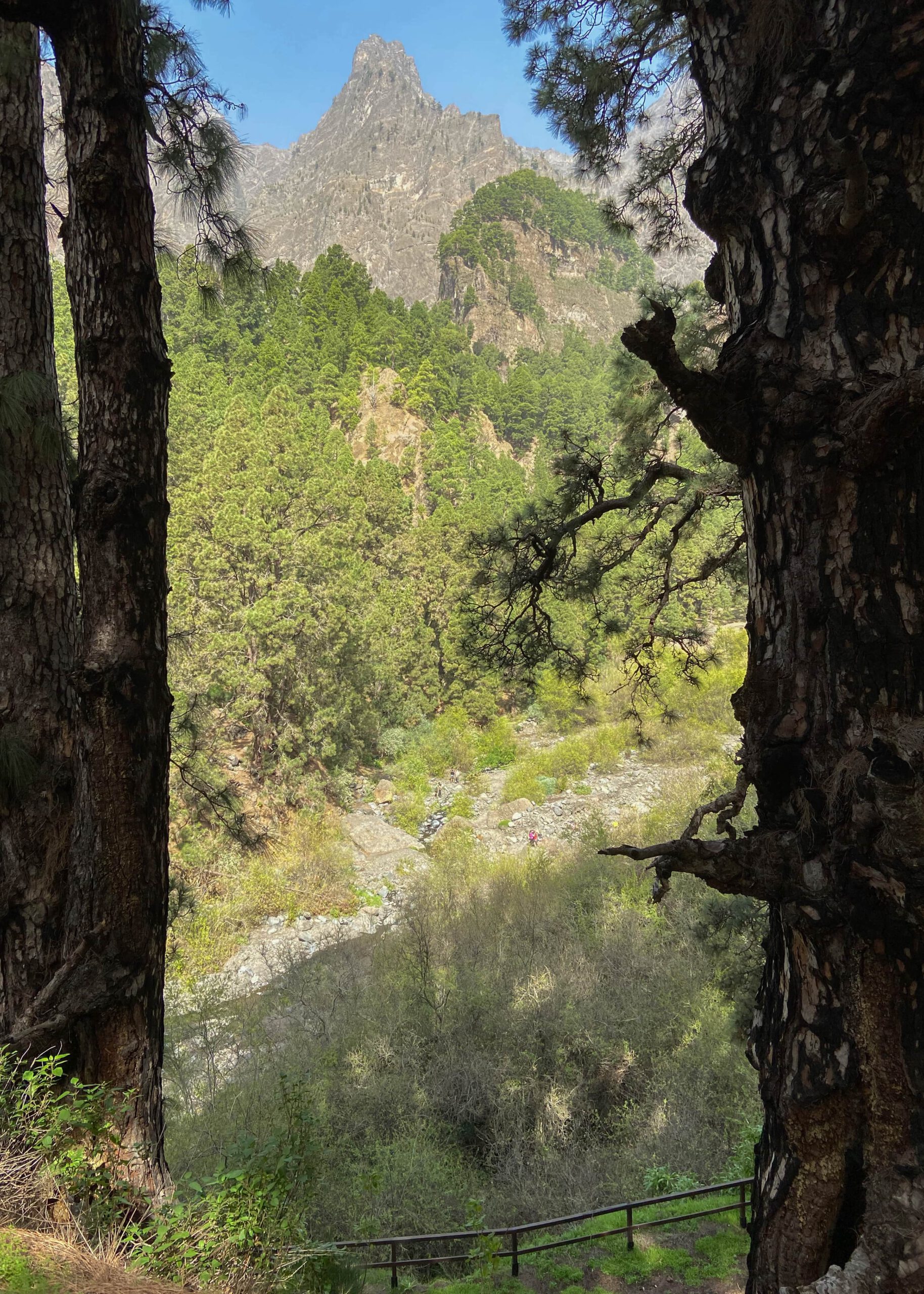 Zona de Acampada - Blick auf das Barranco Bett mit reichlich Wasser