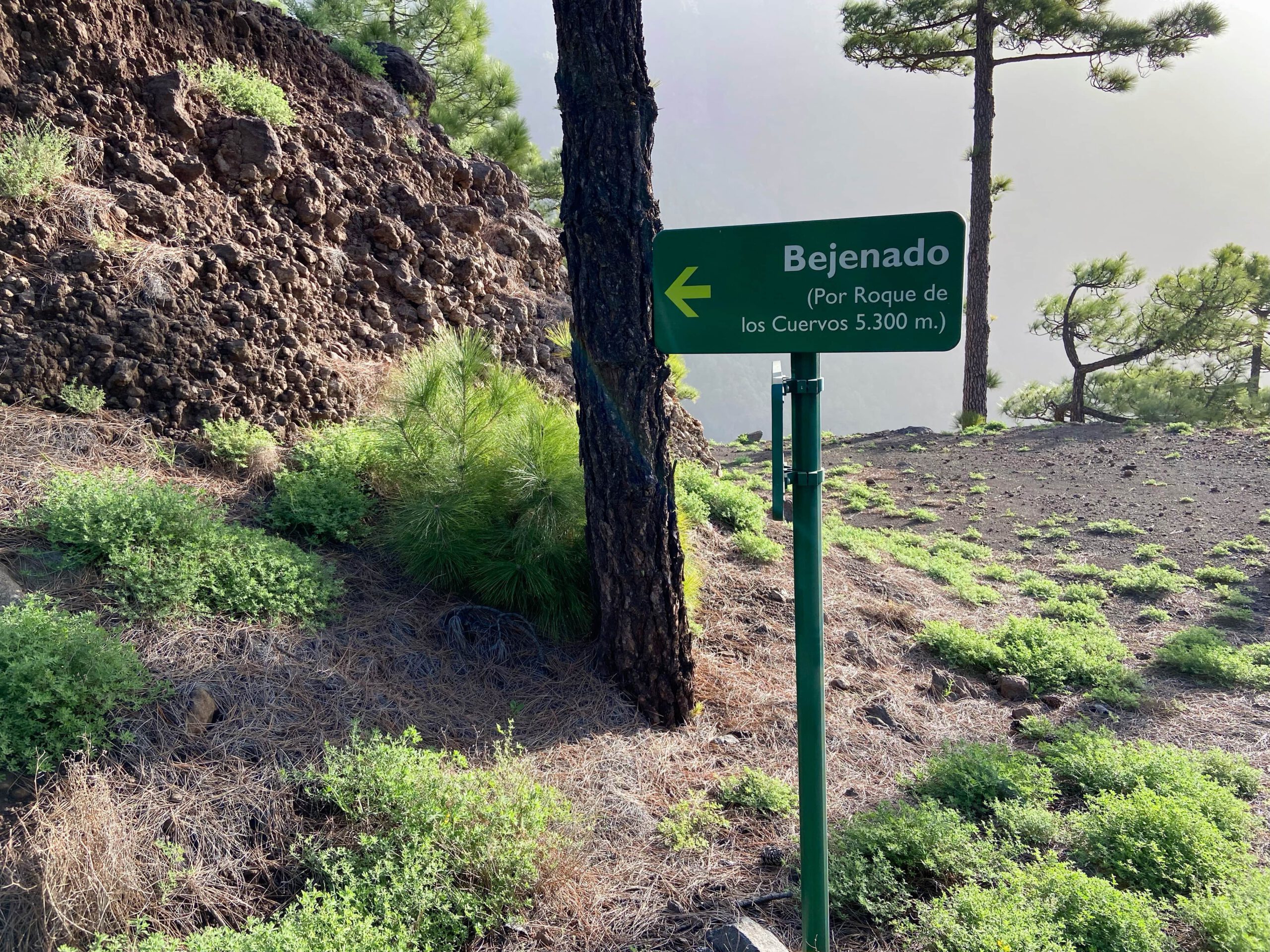 Start of the steep path to Pico Bejenado via Roque de los Cuervos