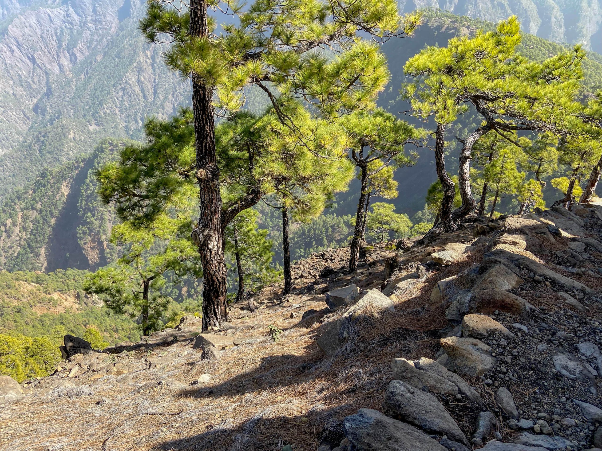 Wanderweg auf den Pico Bejenado