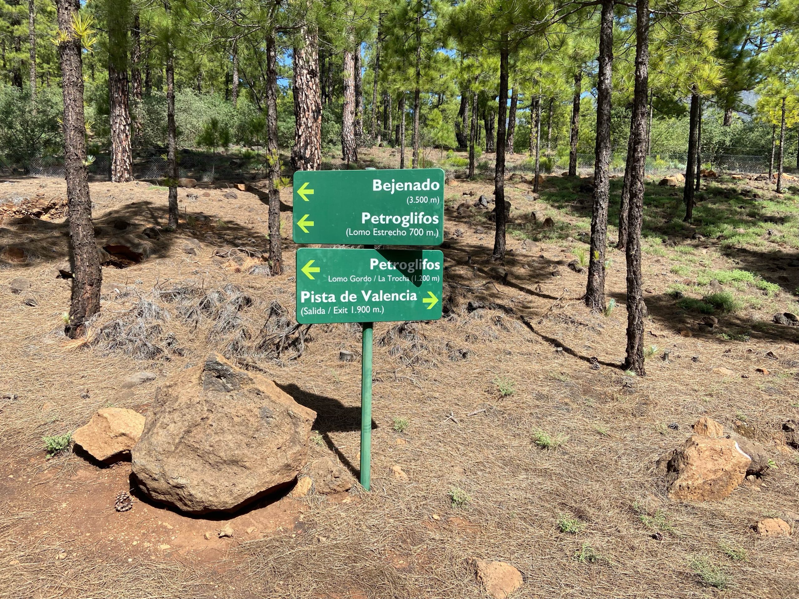 Gute Wanderausschilderung auf den Waldwegen rund um den Pico Bejenado