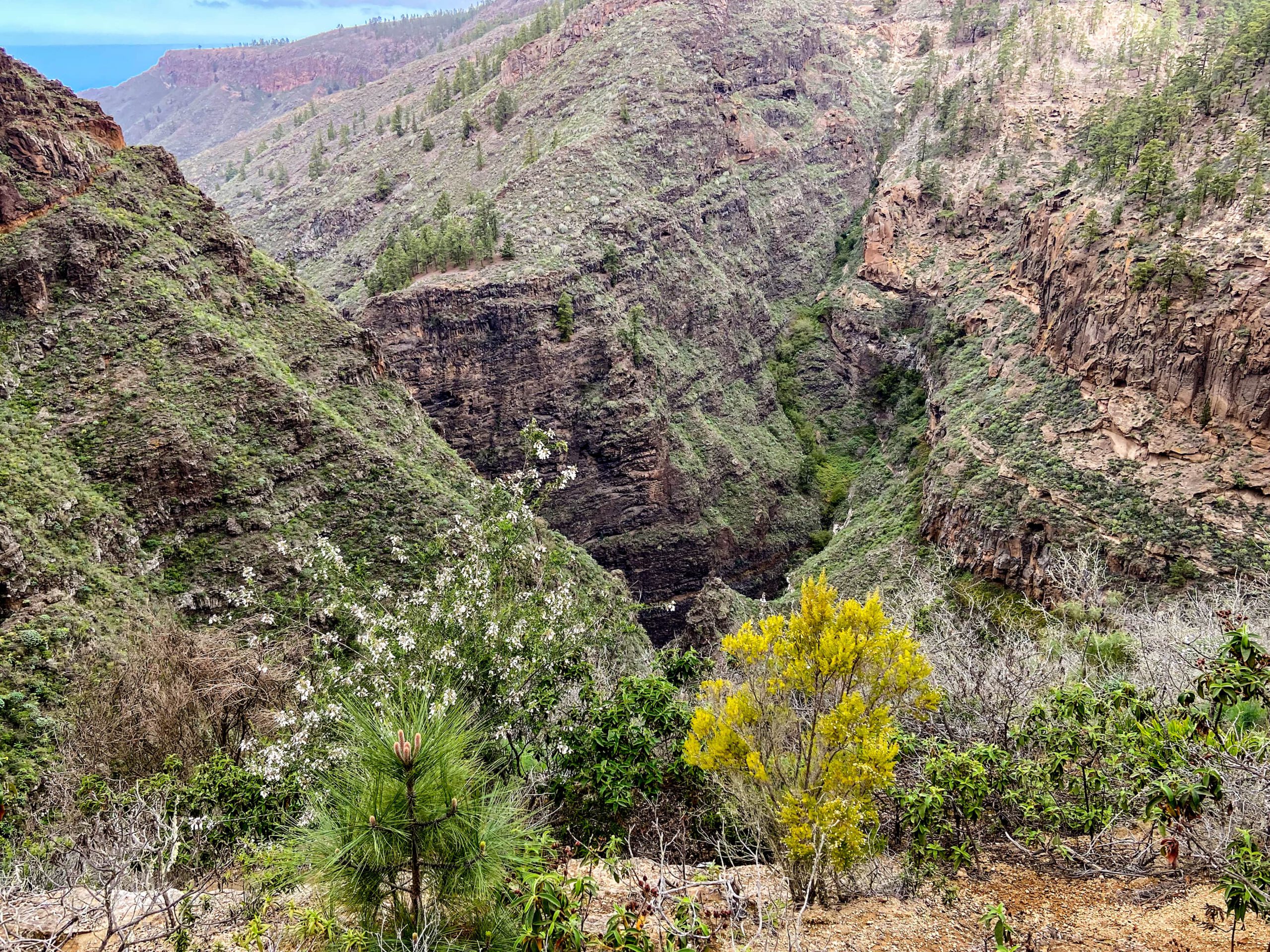 Blick vom Wanderweg in tiefe Schluchten