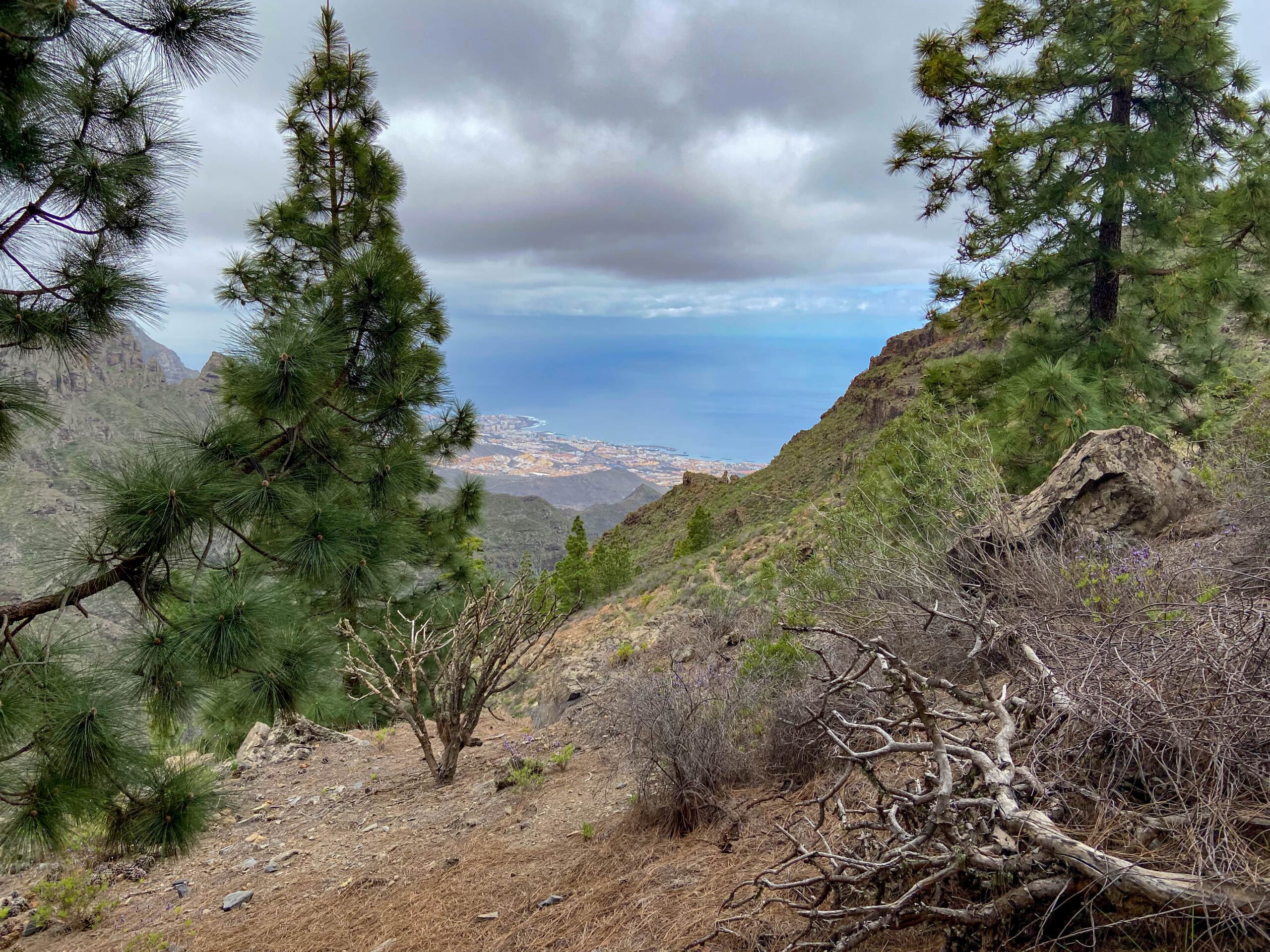 Blick aus einer Höhle auf die Südküste von Teneriffa