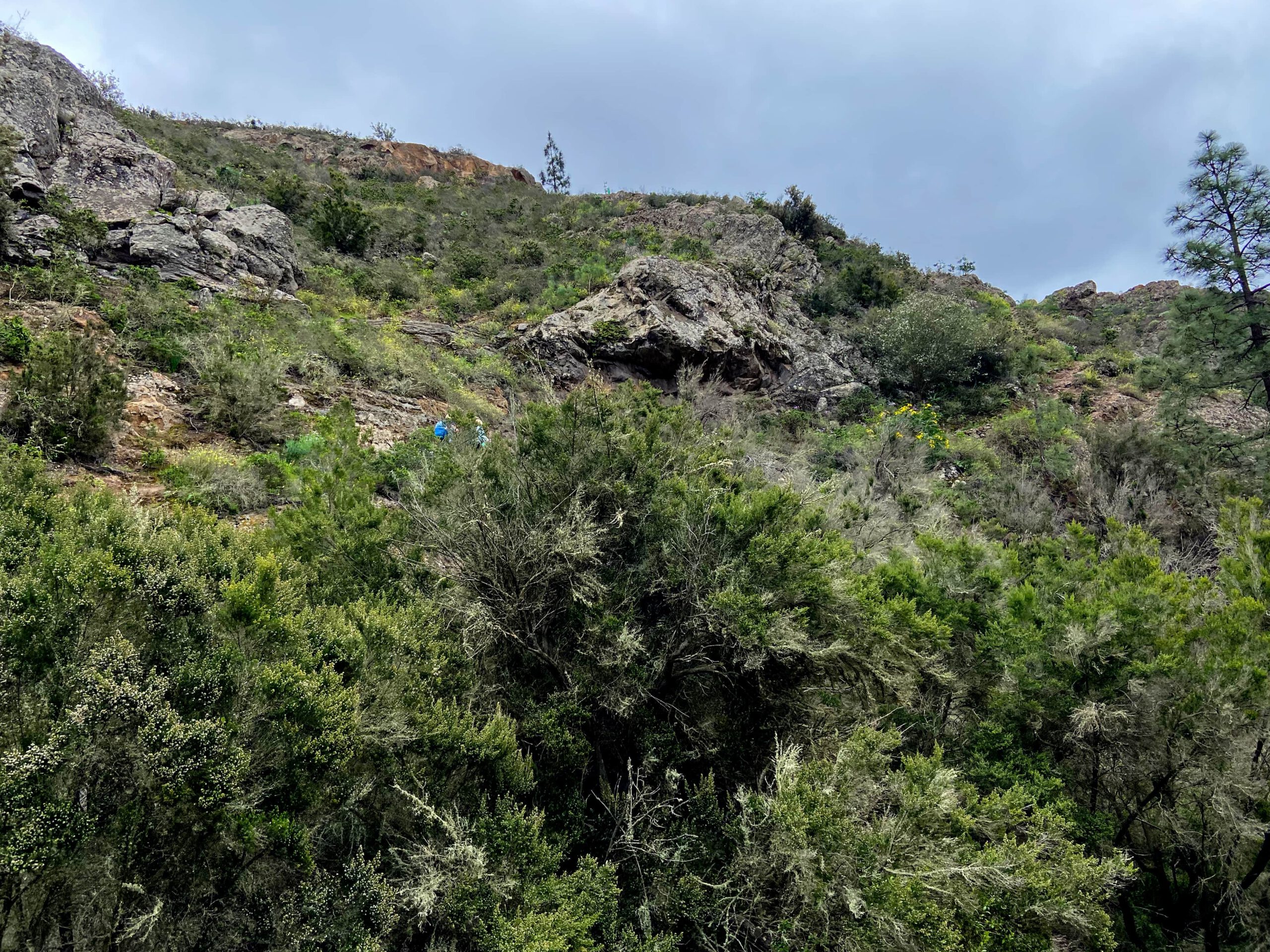 Blick vom Wanderweg hinauf zum Grat - Rückweg
