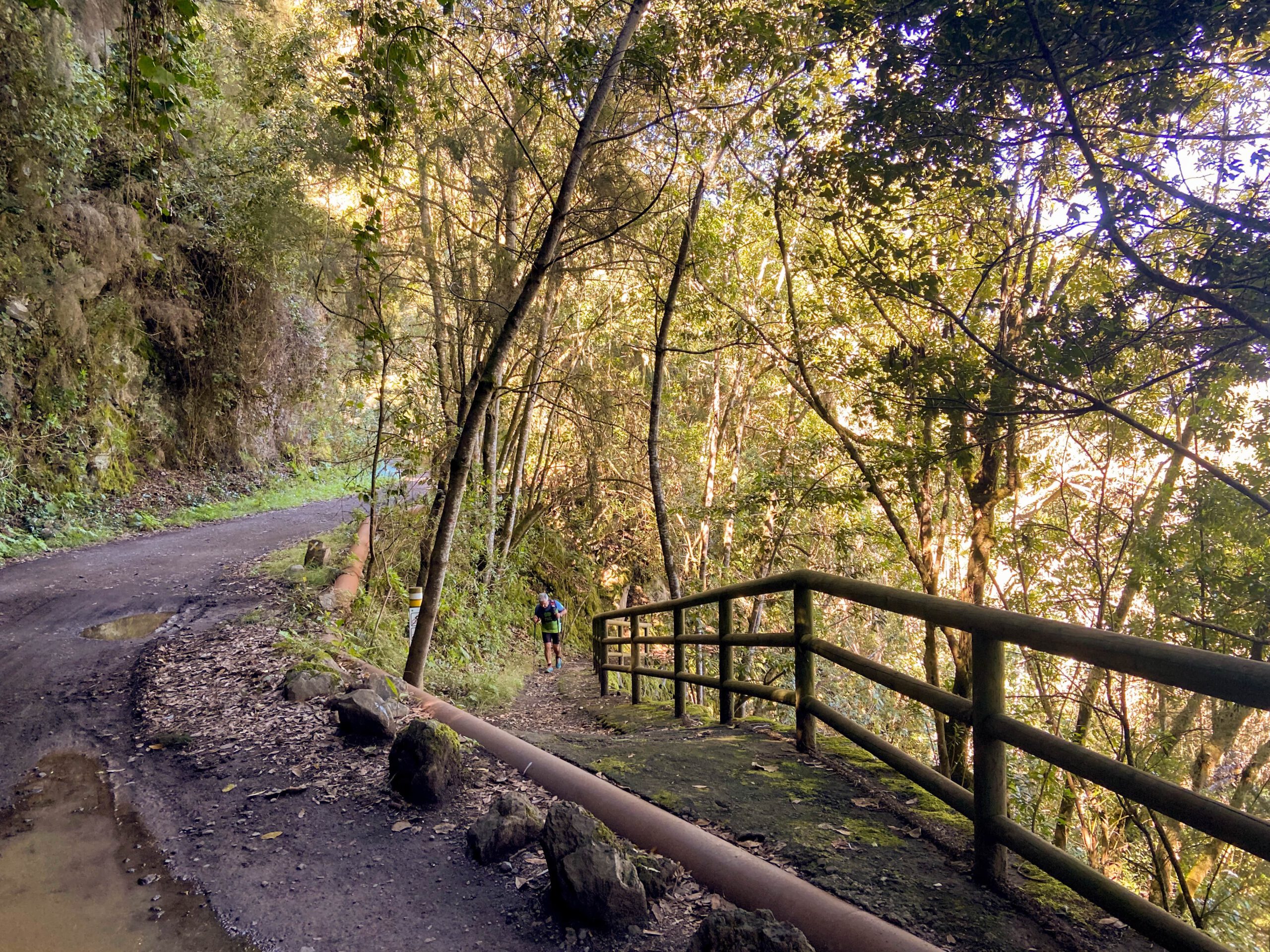 Zusammentreffen von Wanderweg und Forstpiste auf dem Weg nach Chanajiga