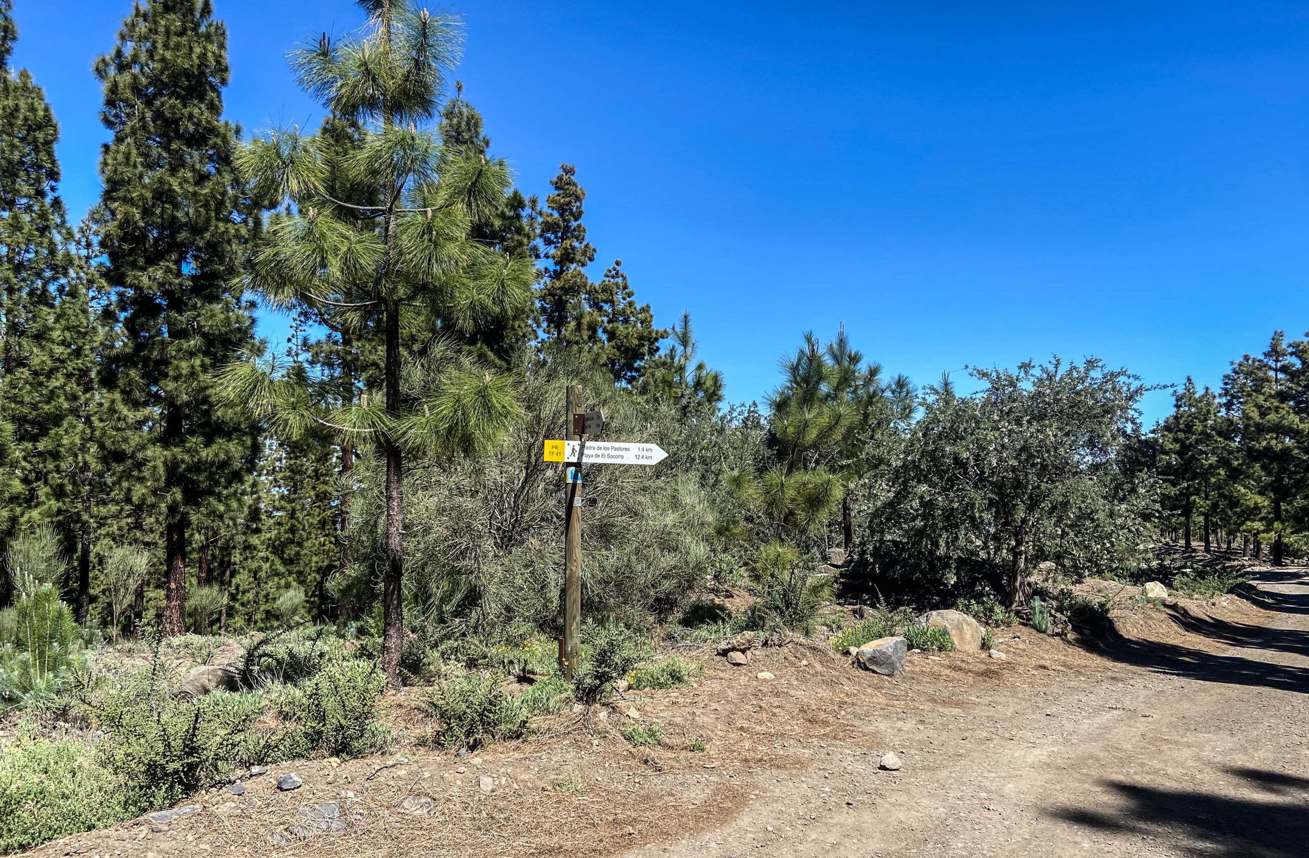 Fahrweg in Richtung Fortaleza Cañadas