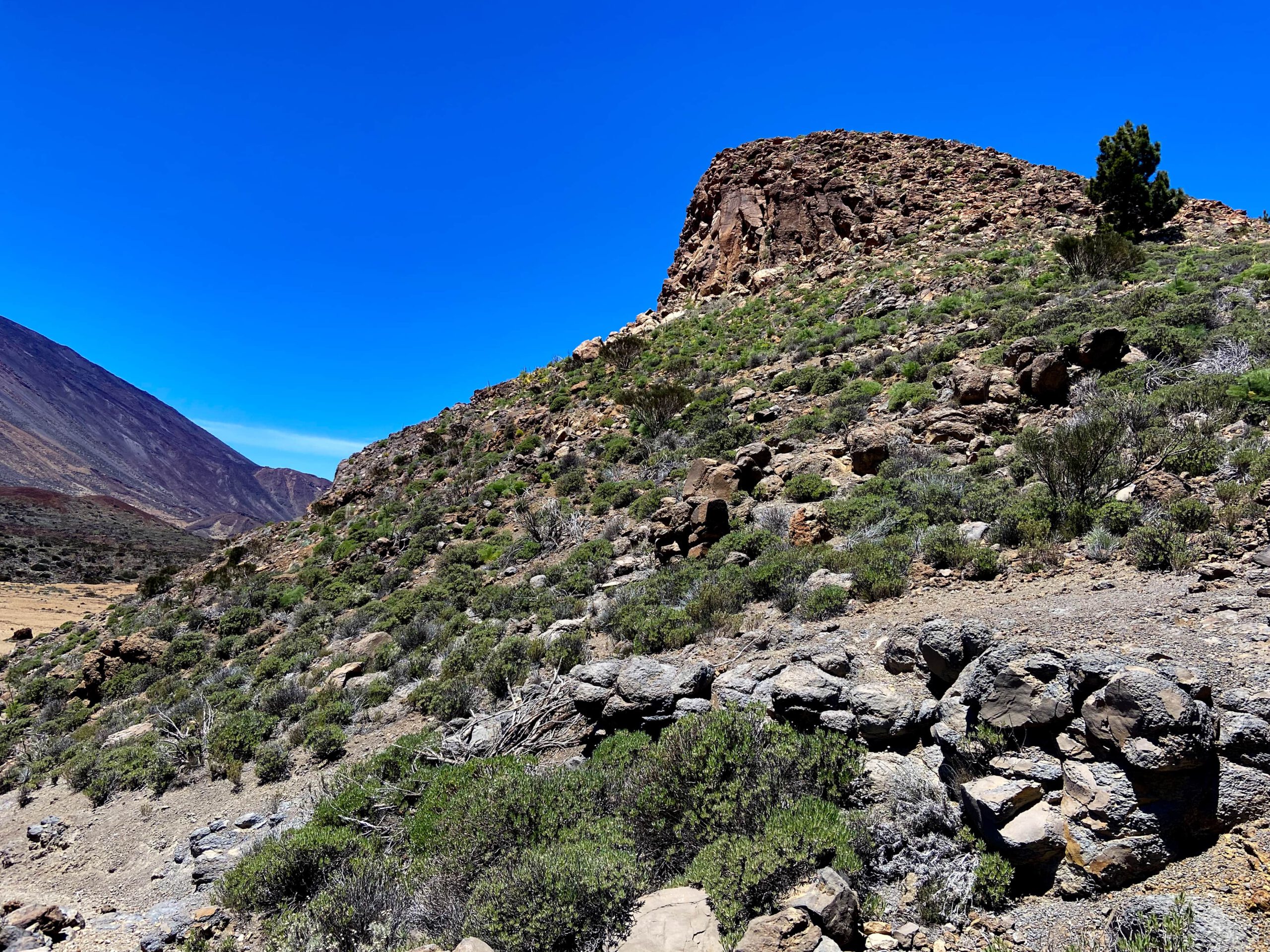Wanderweg unterhalb der Fortaleza Cañadas