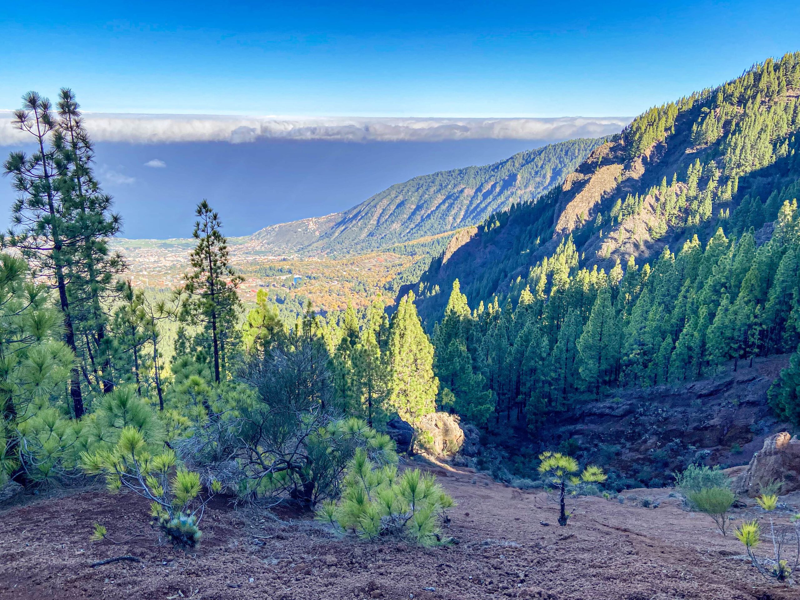 Blick aus der Höhe auf das Orotava Tal und die Nachbarinseln