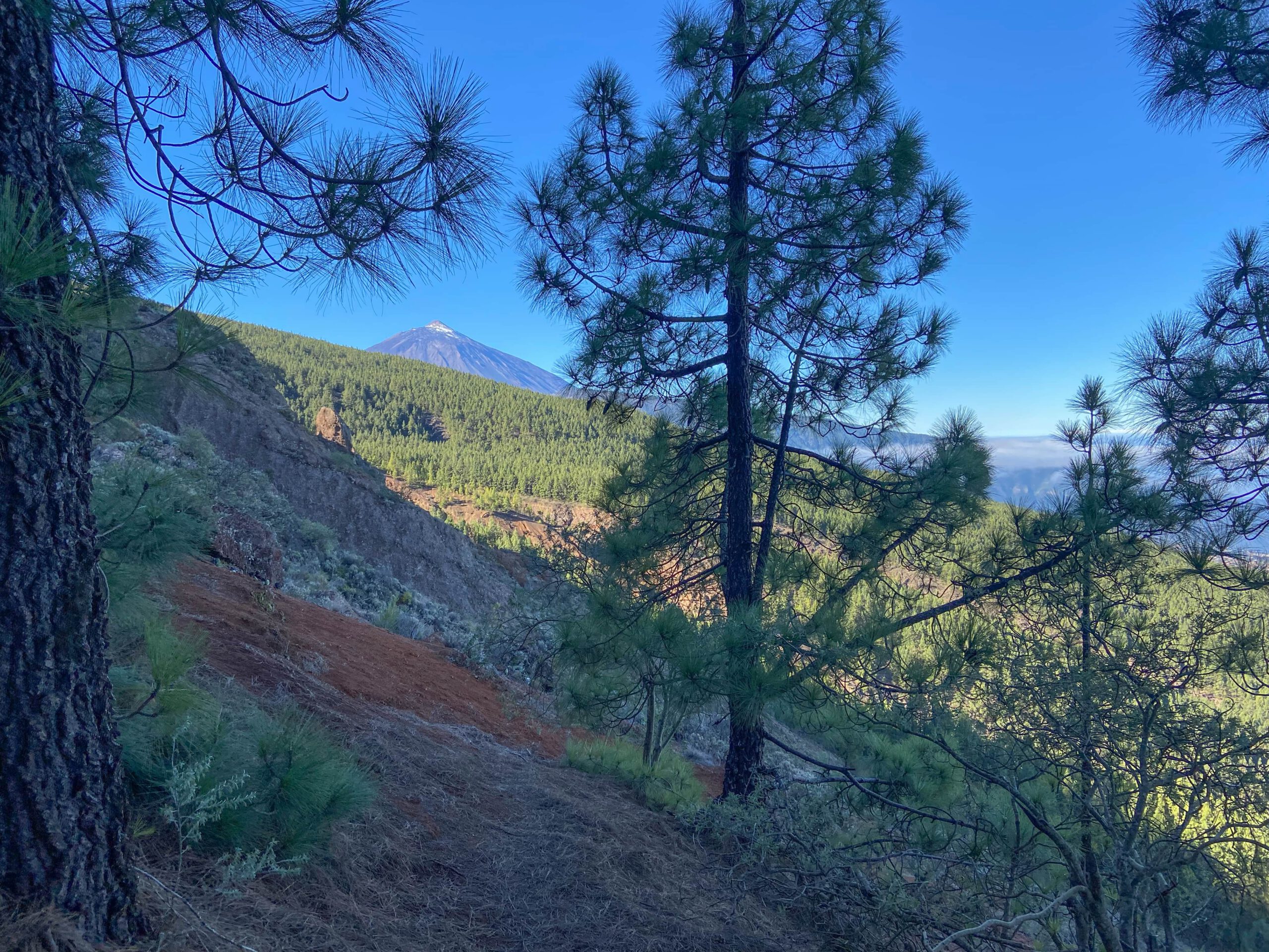 Blick auf den Teide