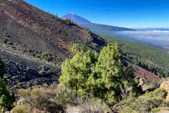 Wanderweg Richtung La Crucita mit Blick auf Teide und den unteren Hangweg